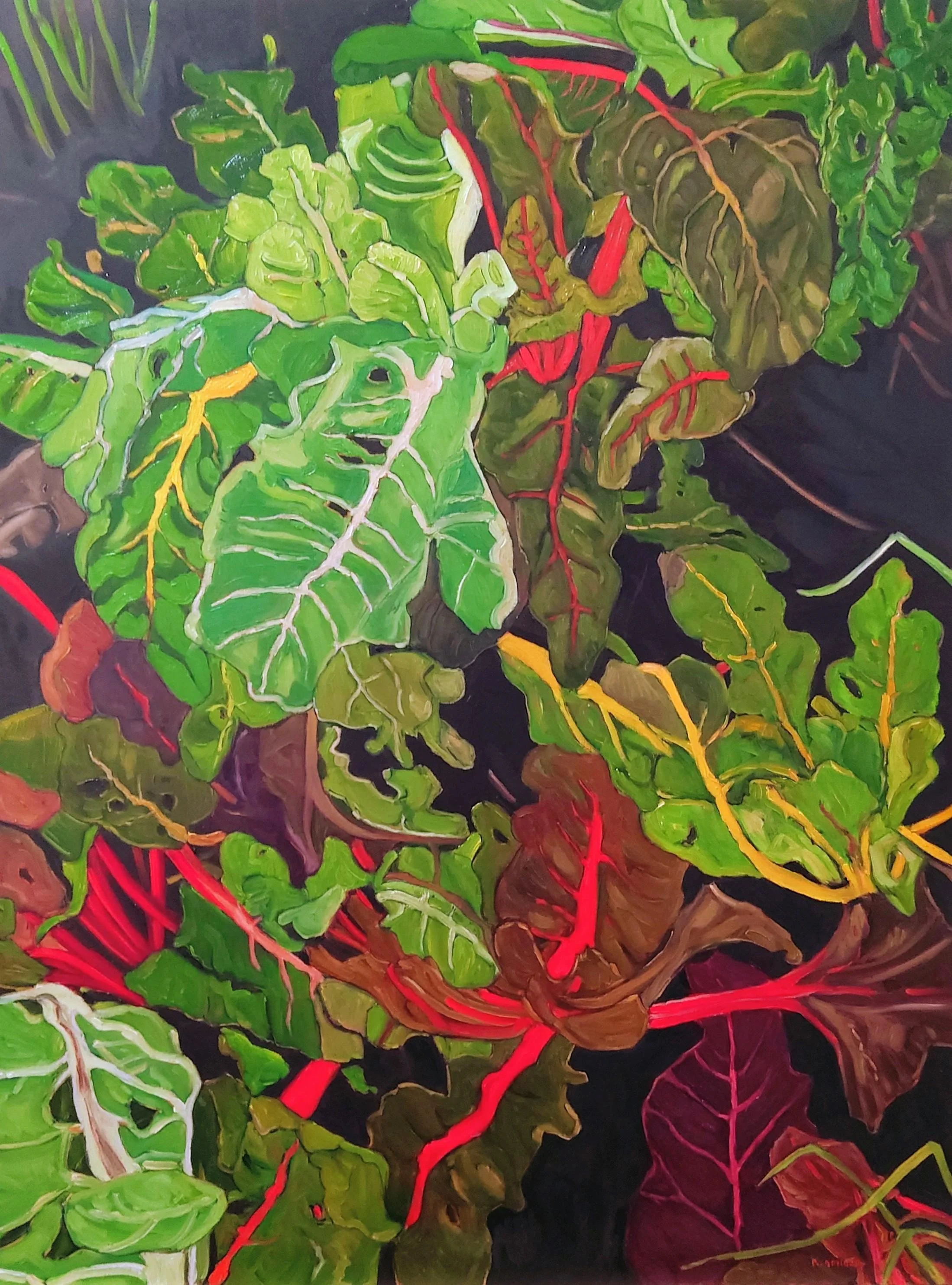 Swiss Chard XXIII-CAN2509-Urania Calais 40x30 OC 1600.jpg