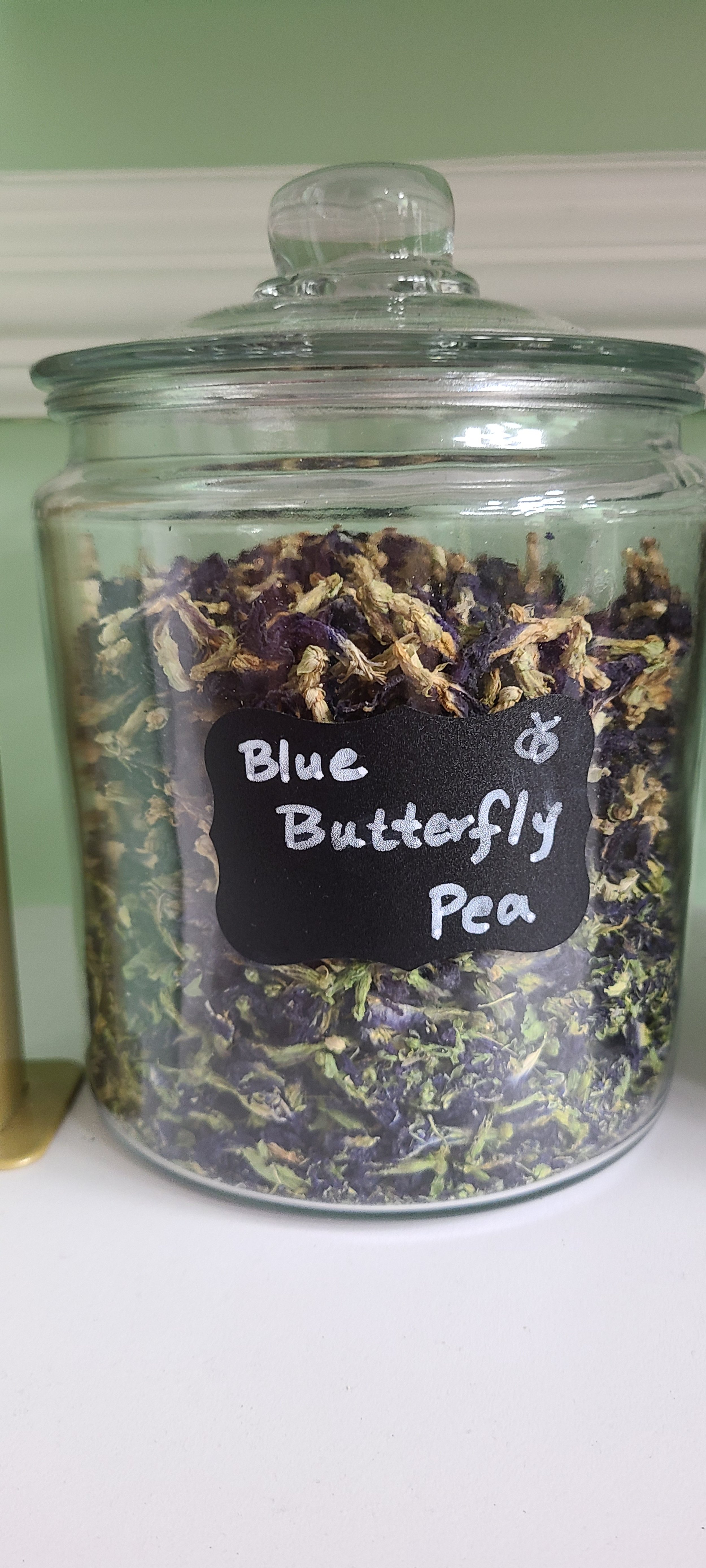 Blue Butterfly Pea (Clitoria ternatea)