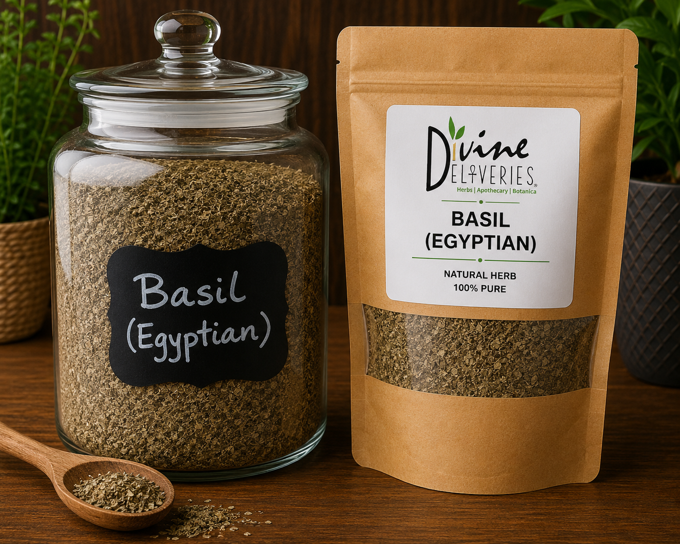 Basil (Ocimum basilicum, Egyptian variety)