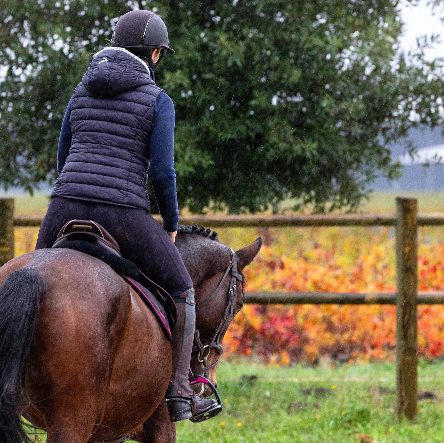 Rain or shine we ride and we love it! ☔️ I think winter is catching up to us slowly! #equestriansofinstagram