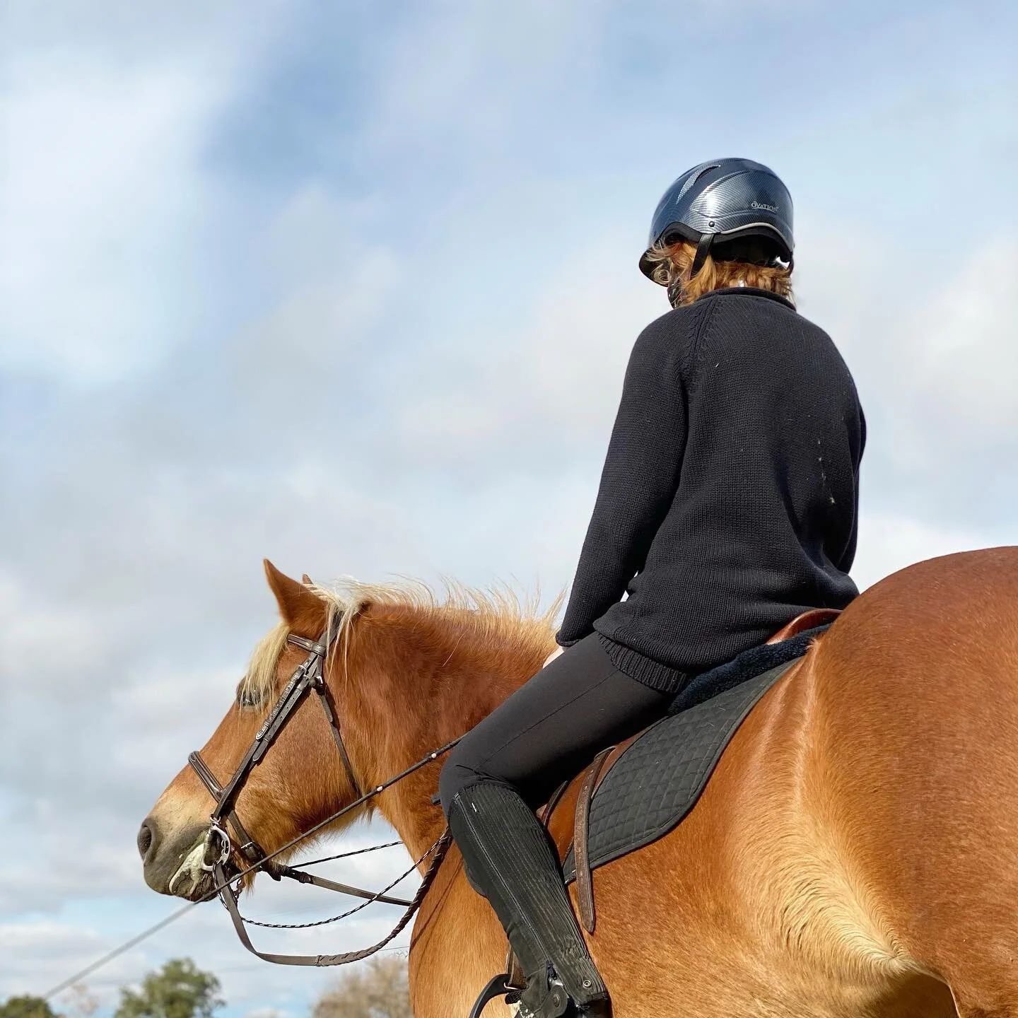 No better time to be outside and enjoying riding! 🐴 come join the barn family! Programs for ages 5 - 25