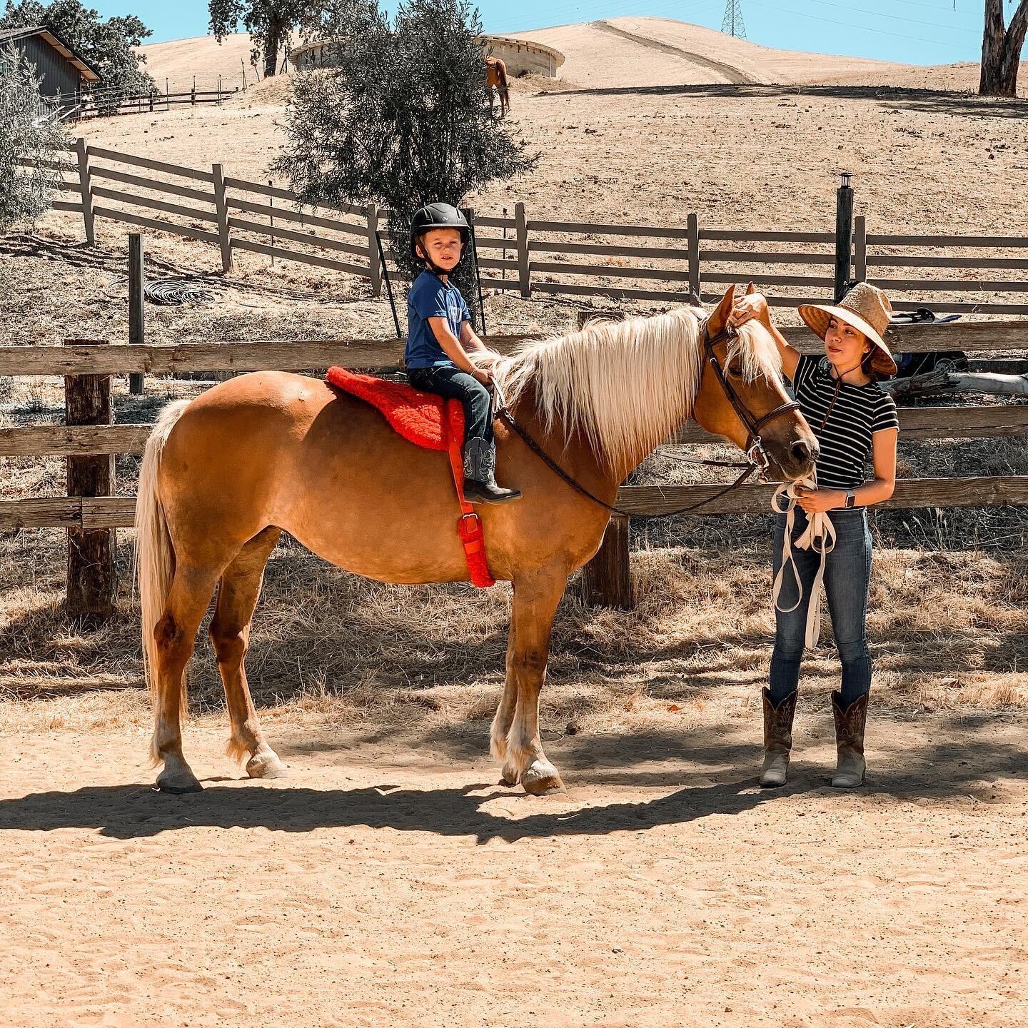 🐴Excited for a summer filled with kids programs and ponies! #rideahorse #equestrianlifestyle