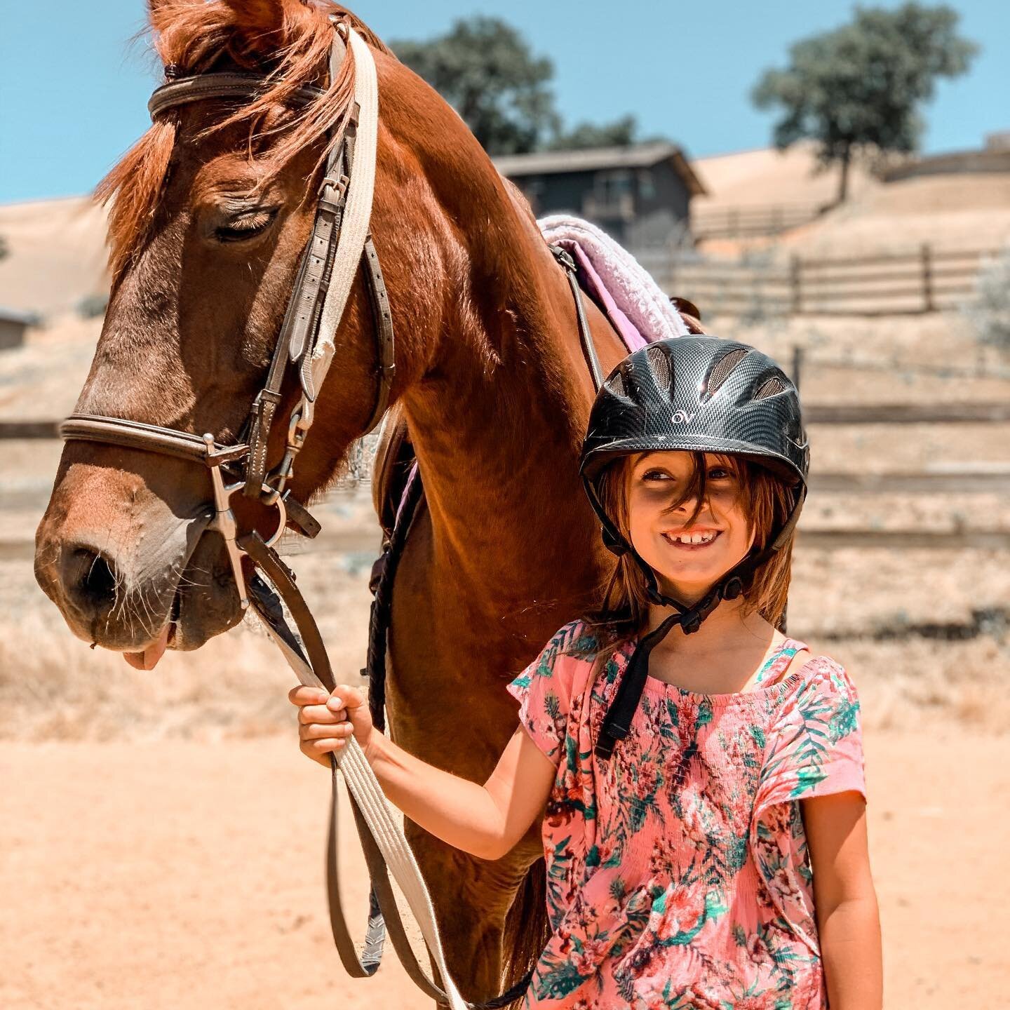 Every day is pony day at the barn! 🦄 Meadow is our newest pony in training for the kids. Excited to see how she does! #hunterjumper #bayareahorses #horsebackridinglessons