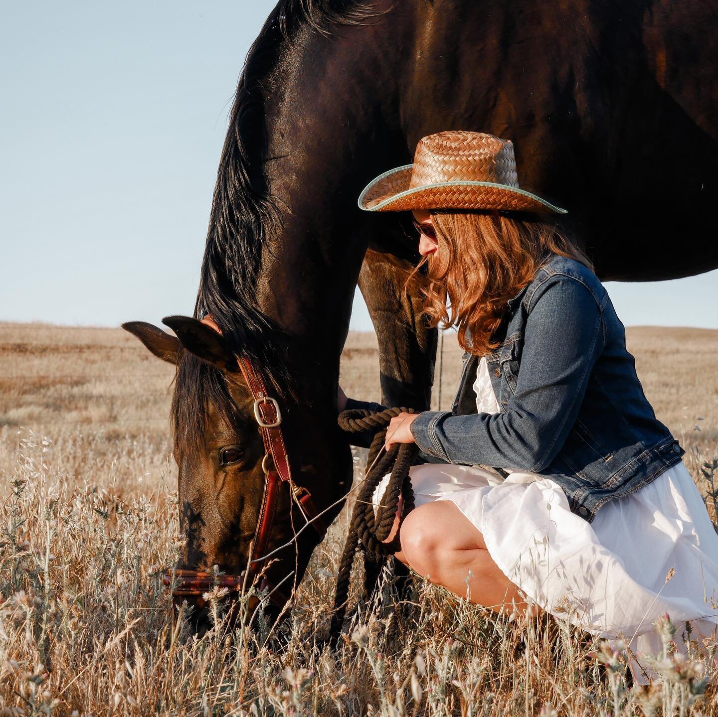 We are enjoying the last bits of summer evenings! One of our students had a cute photo shoot with our fabulous lesson horse! ✨#rideintothesunset