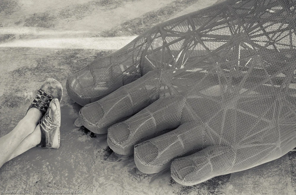 photo by David Julian