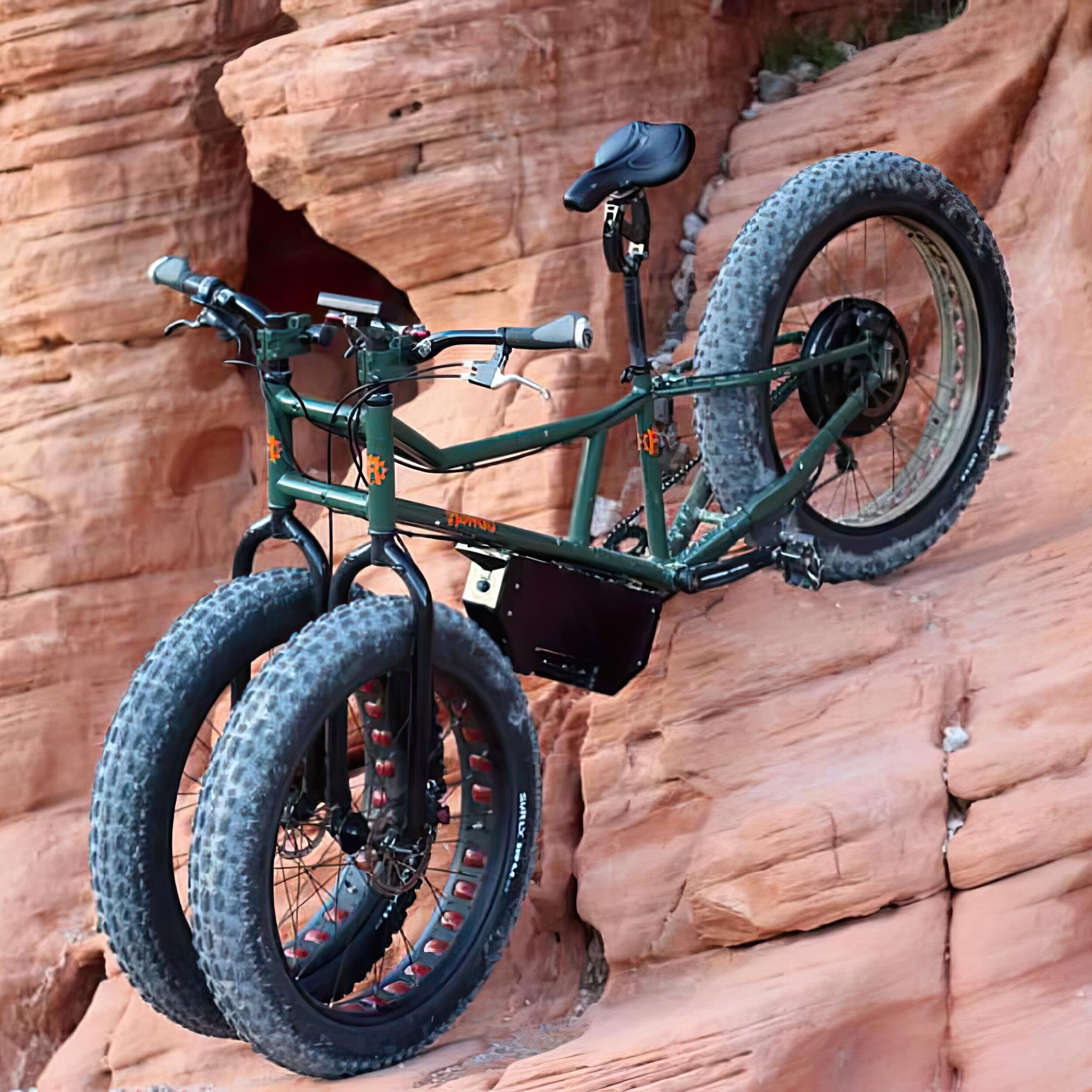 The Rungu Dualie Electric Bike