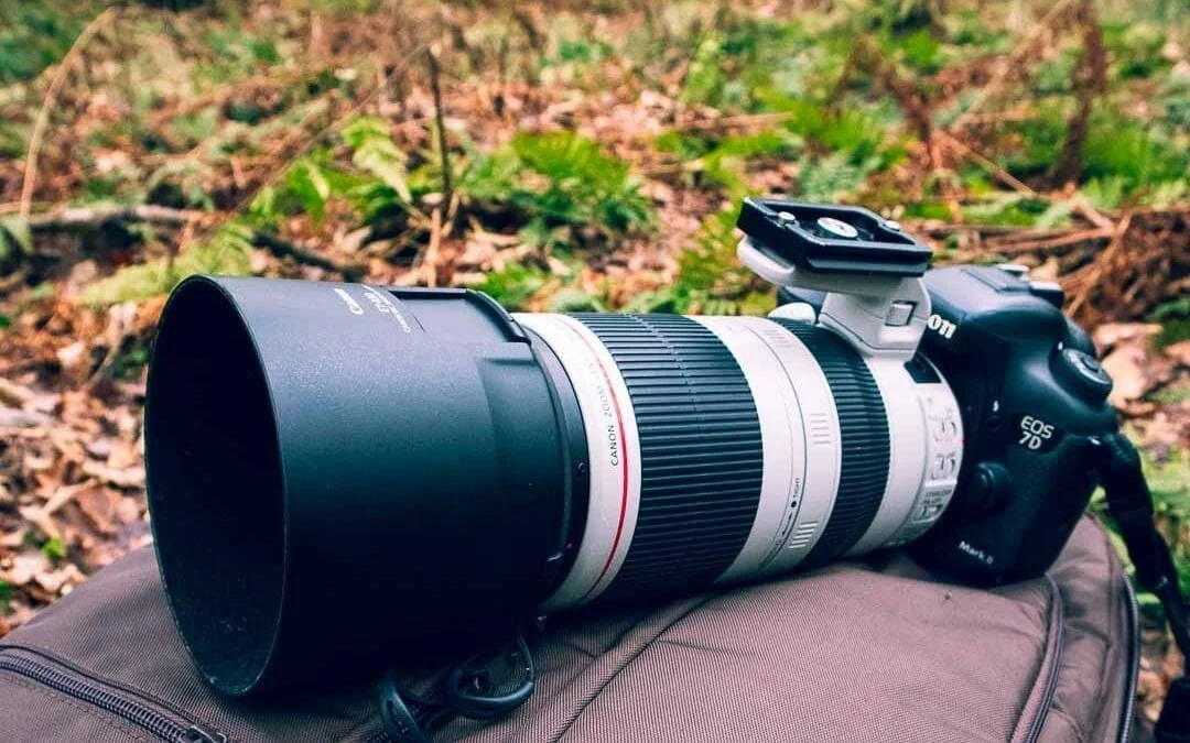7d focus points