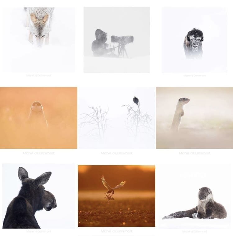10 Inspiring Wildlife Photographers to Follow on Instagram — Espen Helland  Photography
