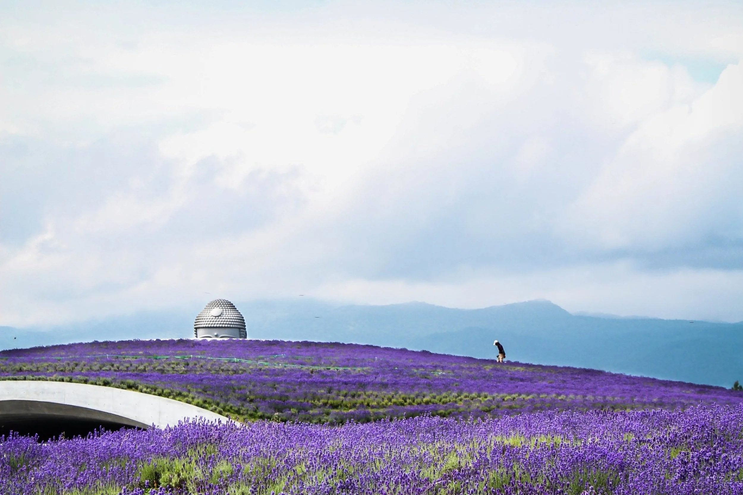 Japanese Freelance Writer Hokkaido