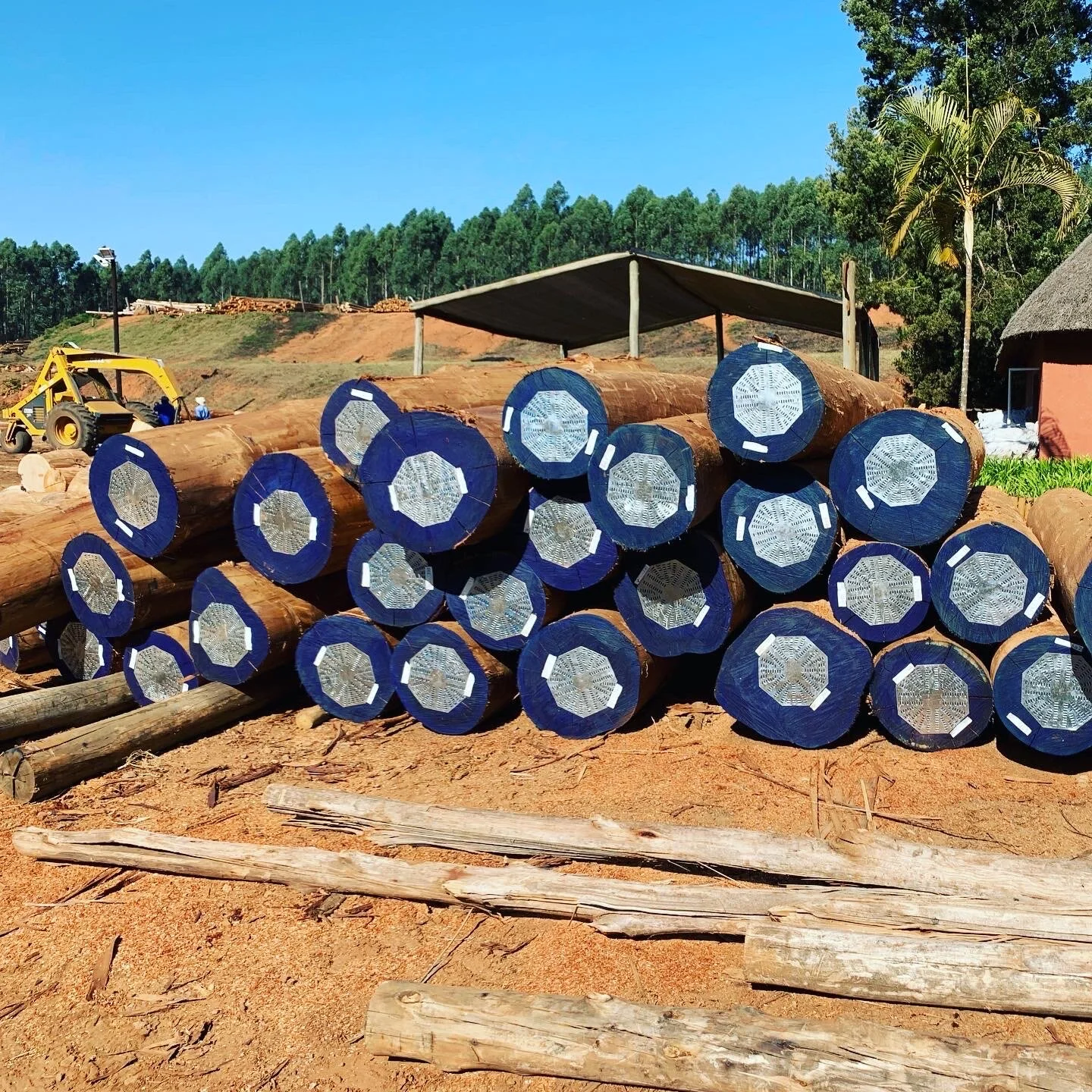 Stacked timber poles with nail plates on the ends to protect them. This is for Exports