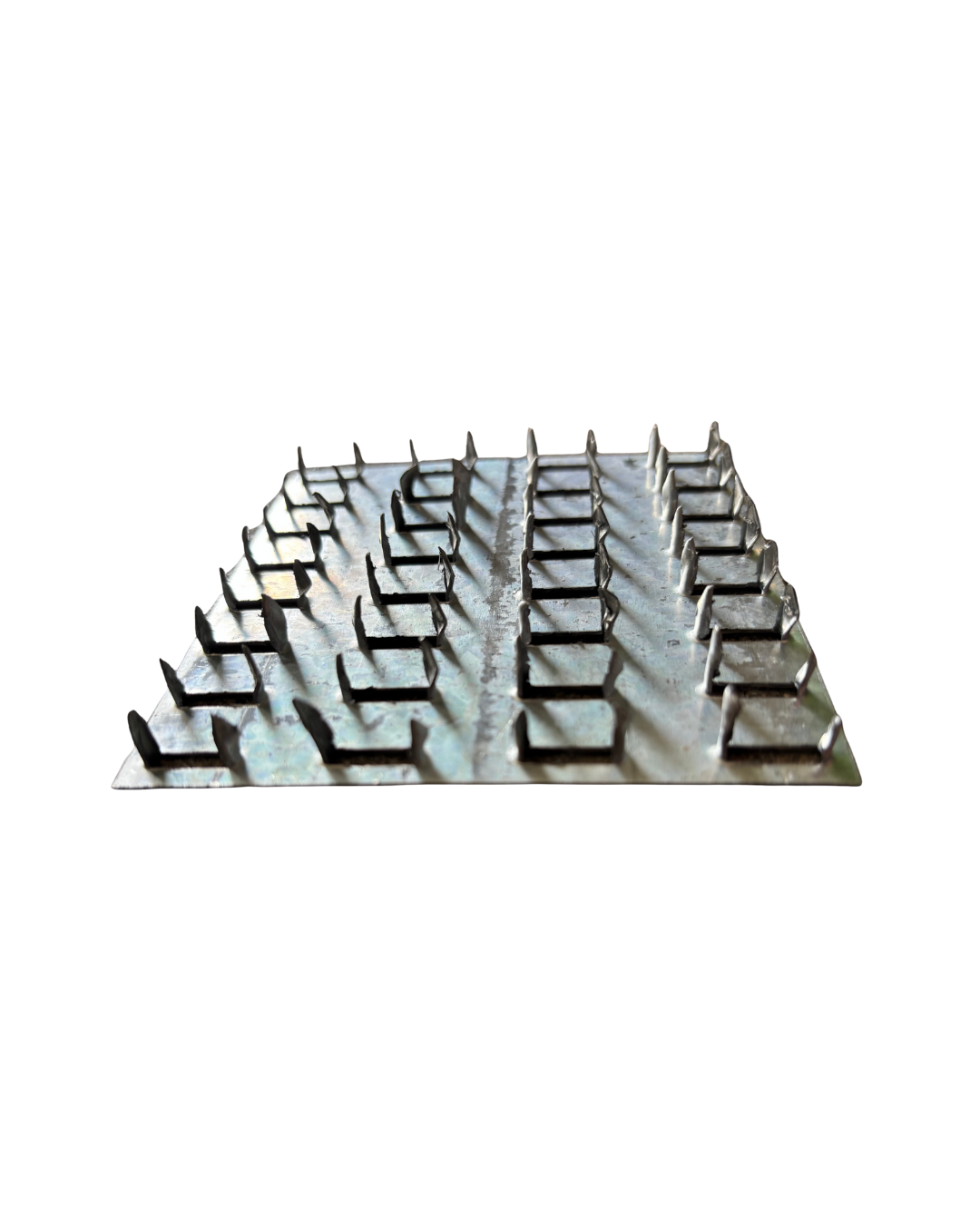 HWP (33).png