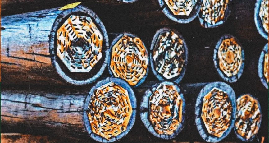 Stacked timber poles with nail plates on the ends to protect them