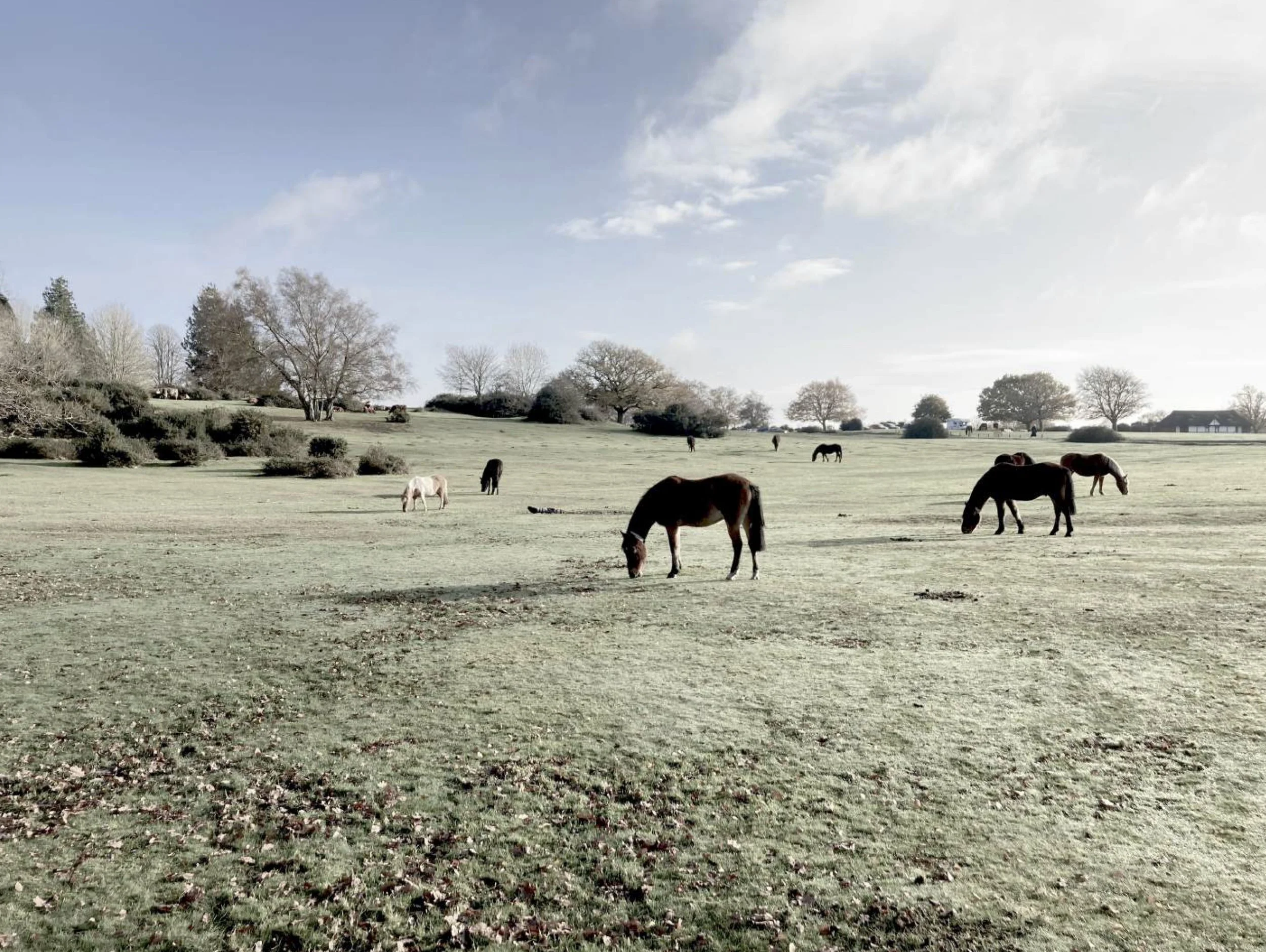 Designing in Britain’s Most Protected Landscapes