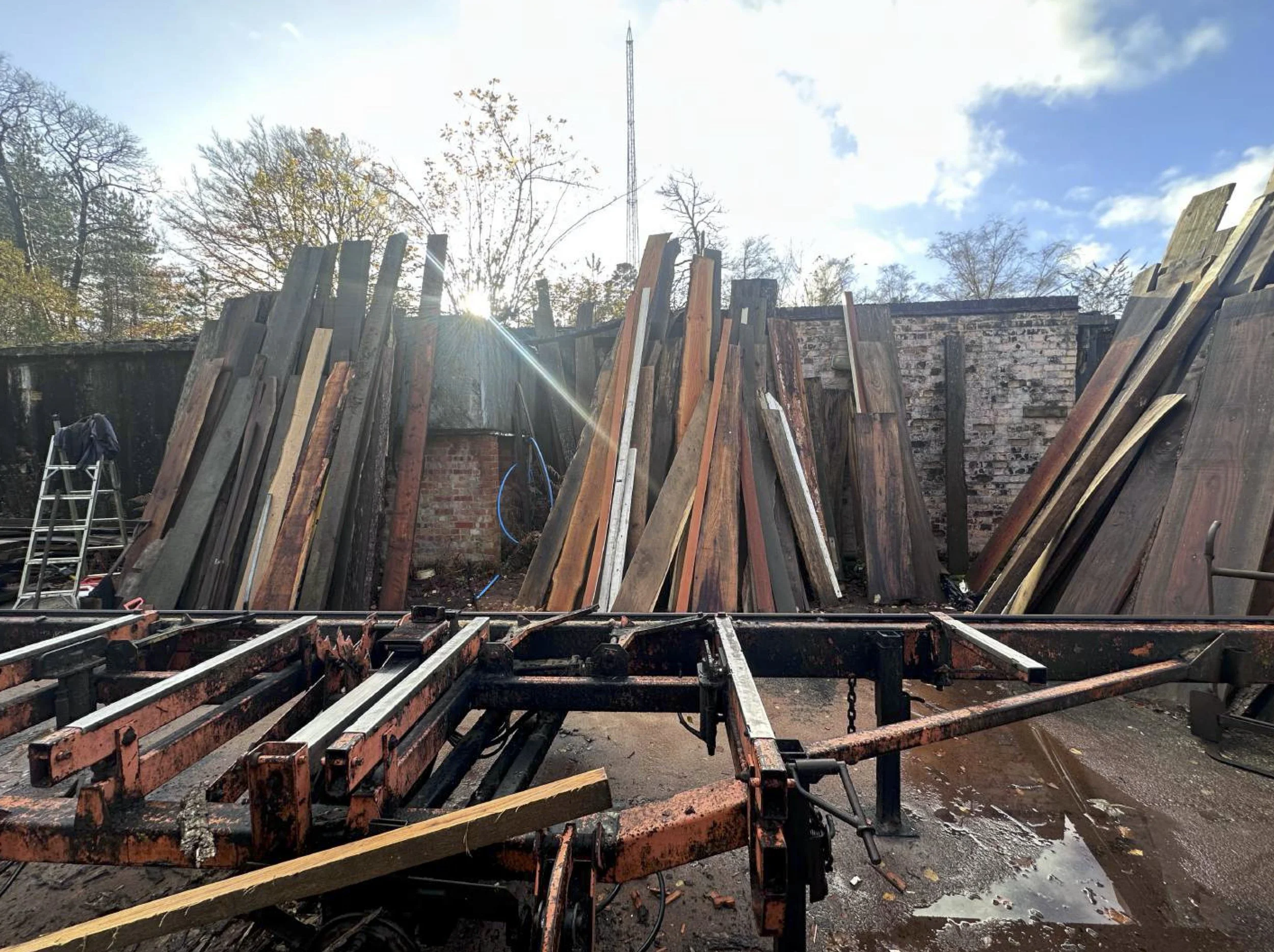 Choosing the Right Timber: Crafting Warm, Contextual and Responsible Architecture