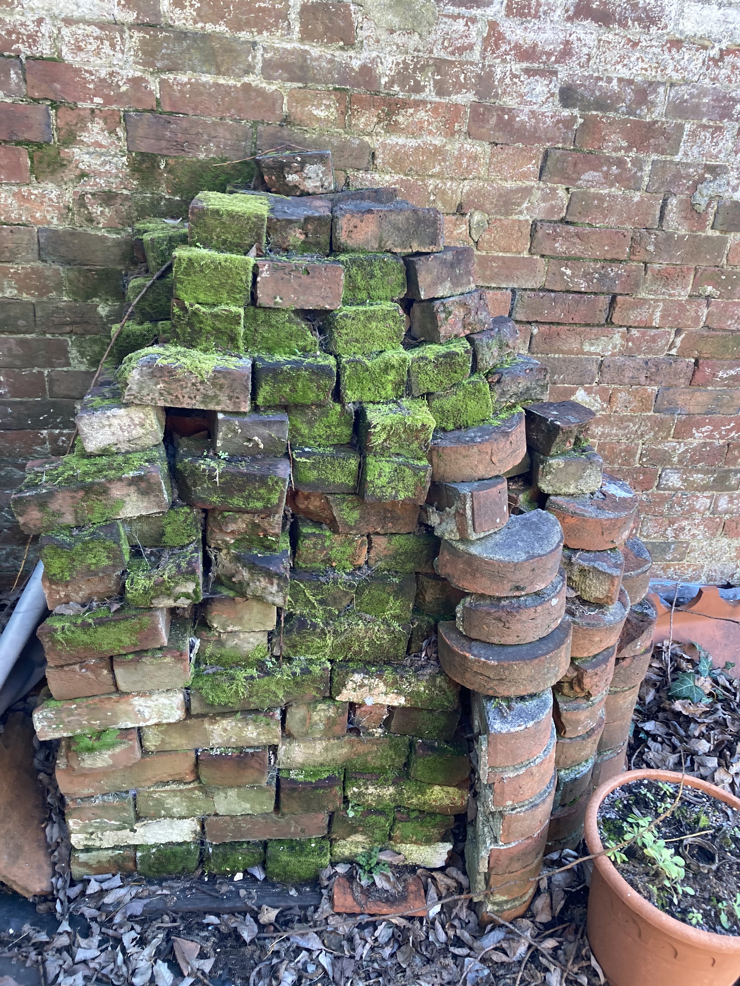 moss-on-bricks-lyndhurst.jpg