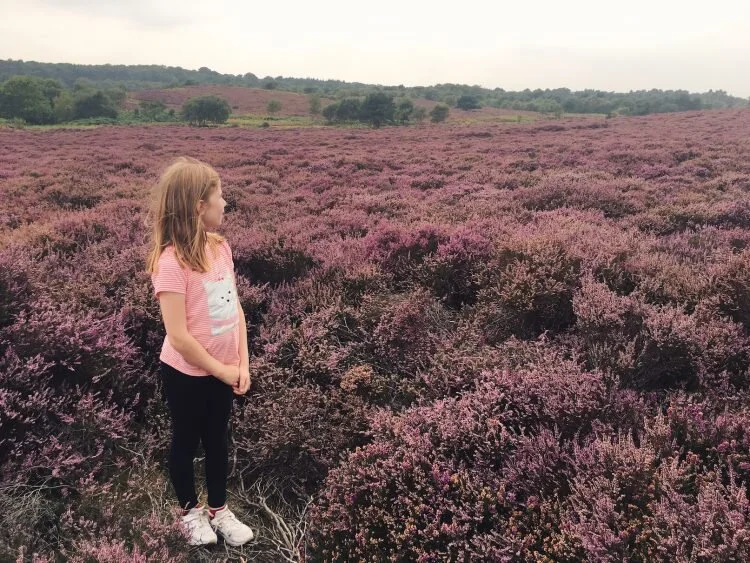 Family Days Out In Suffolk: Dunwich Heath