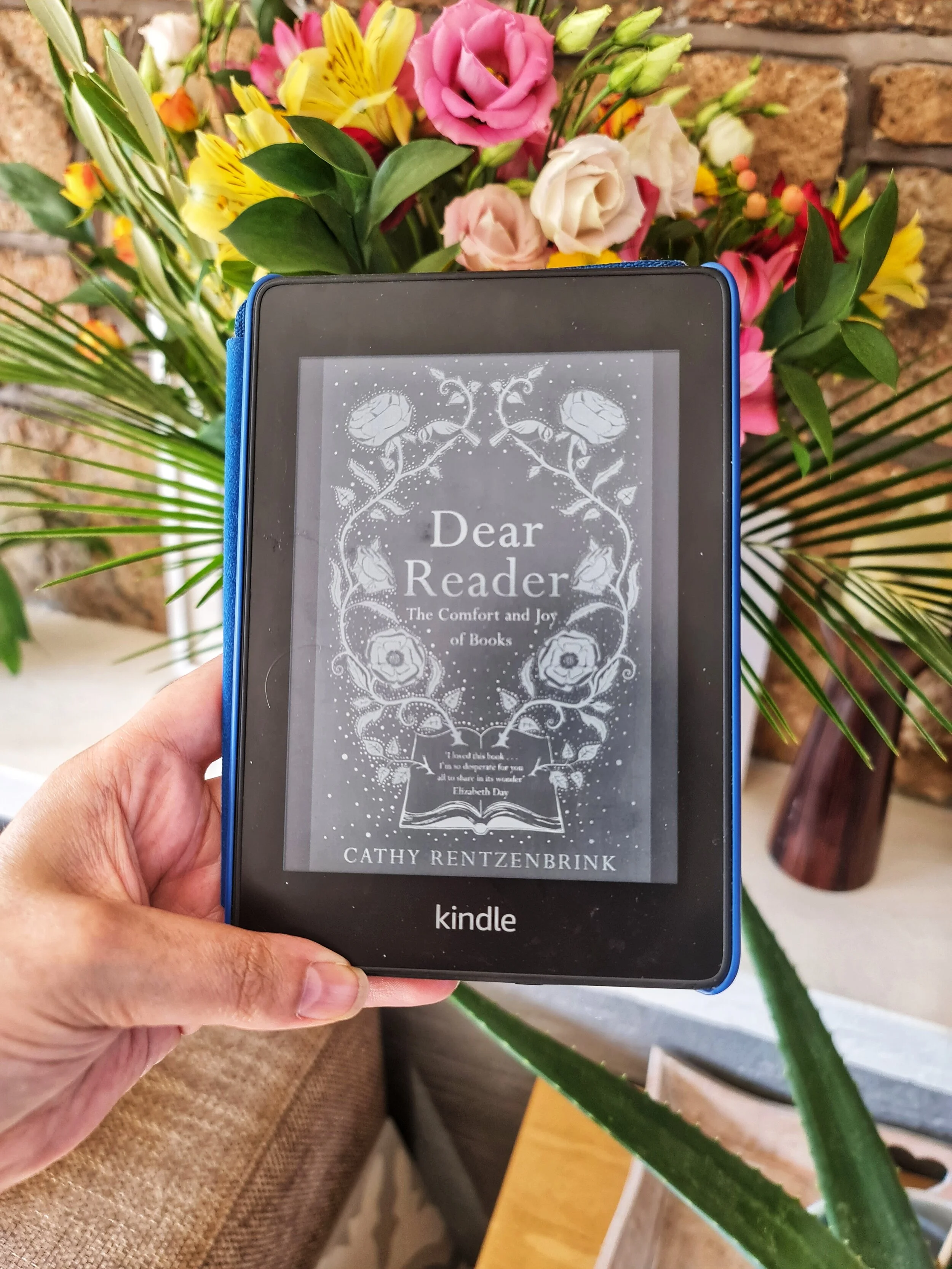Dear Reader: The Comfort and Joy of Books by Cathy Rentzenbrink