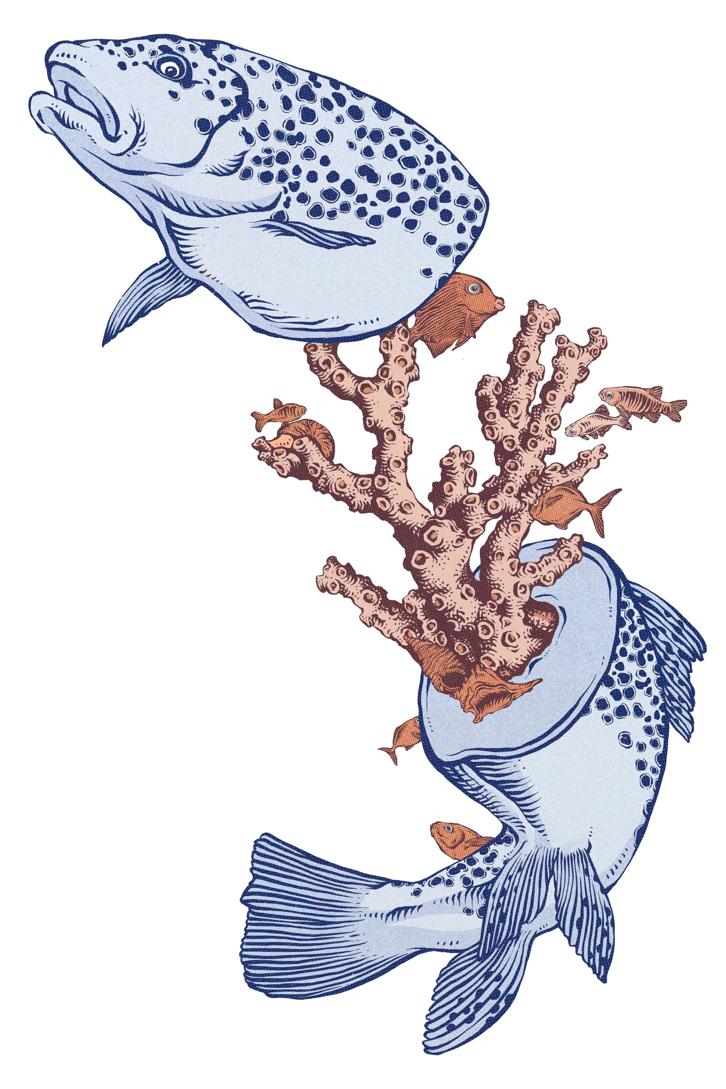Blue Fish & Coral.jpg