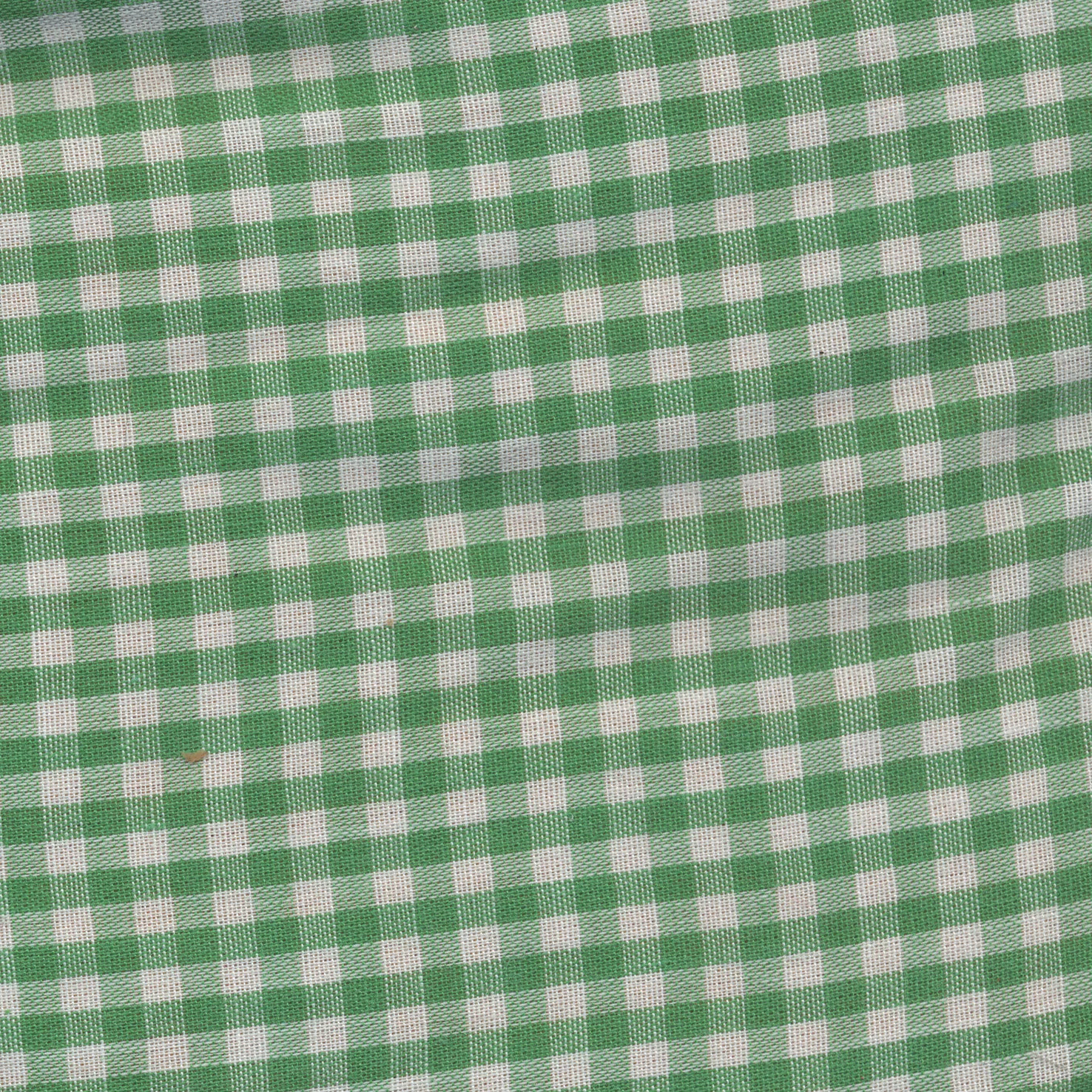 LH DDYC tex 2.jpg