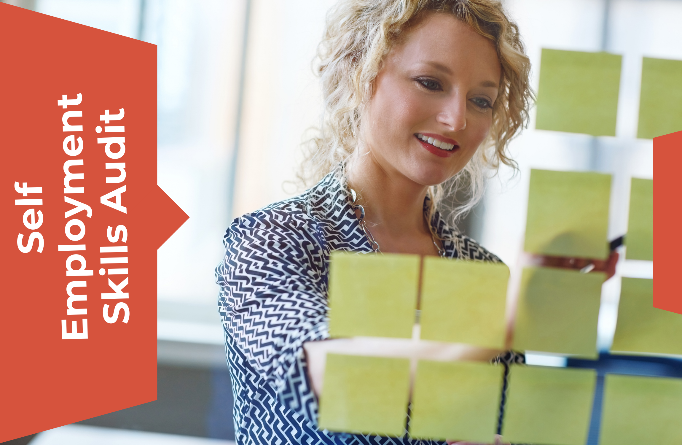Self Employment Skills Audit