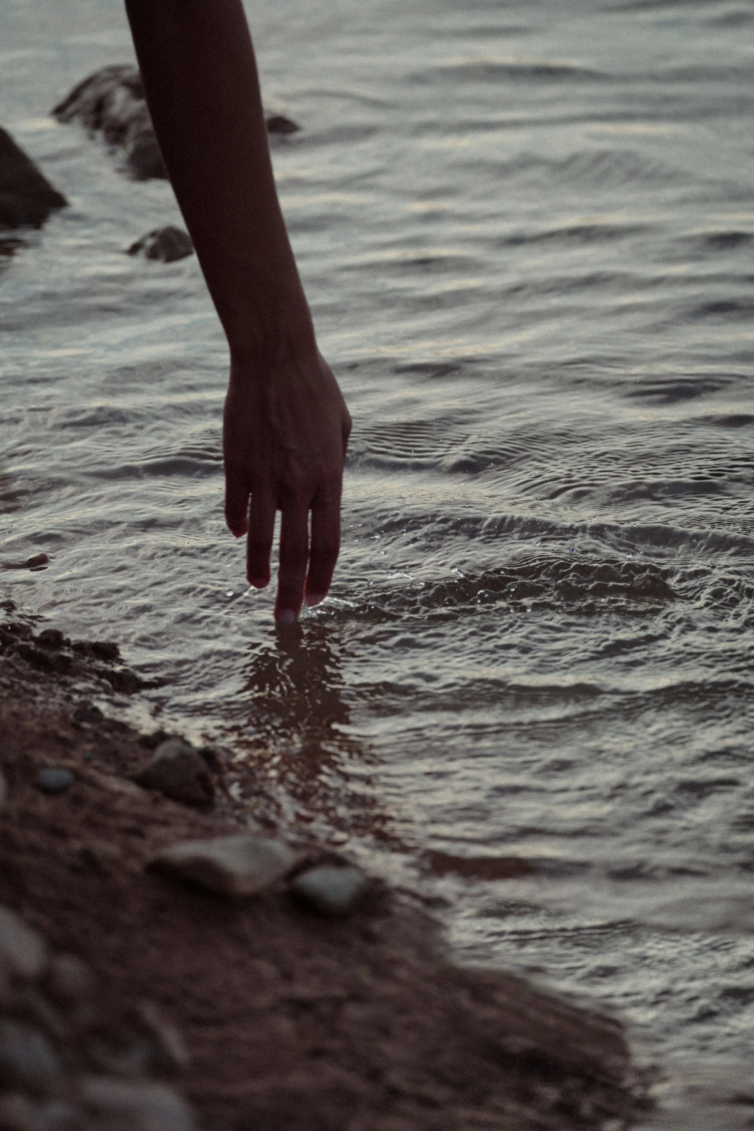 0Q9A2185-Edit.jpg