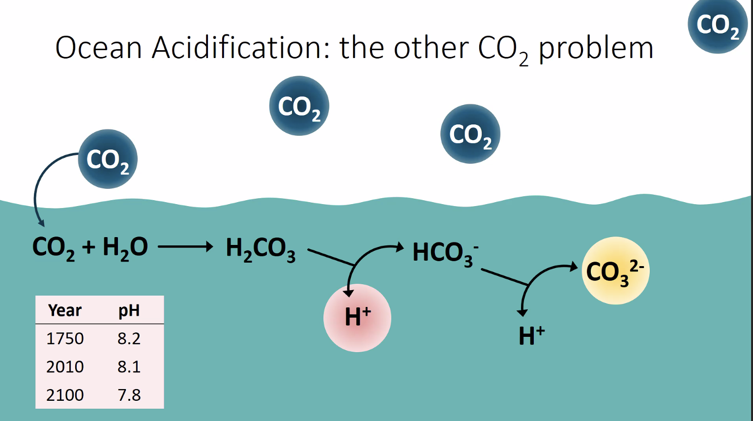 OA the Other CO2.png