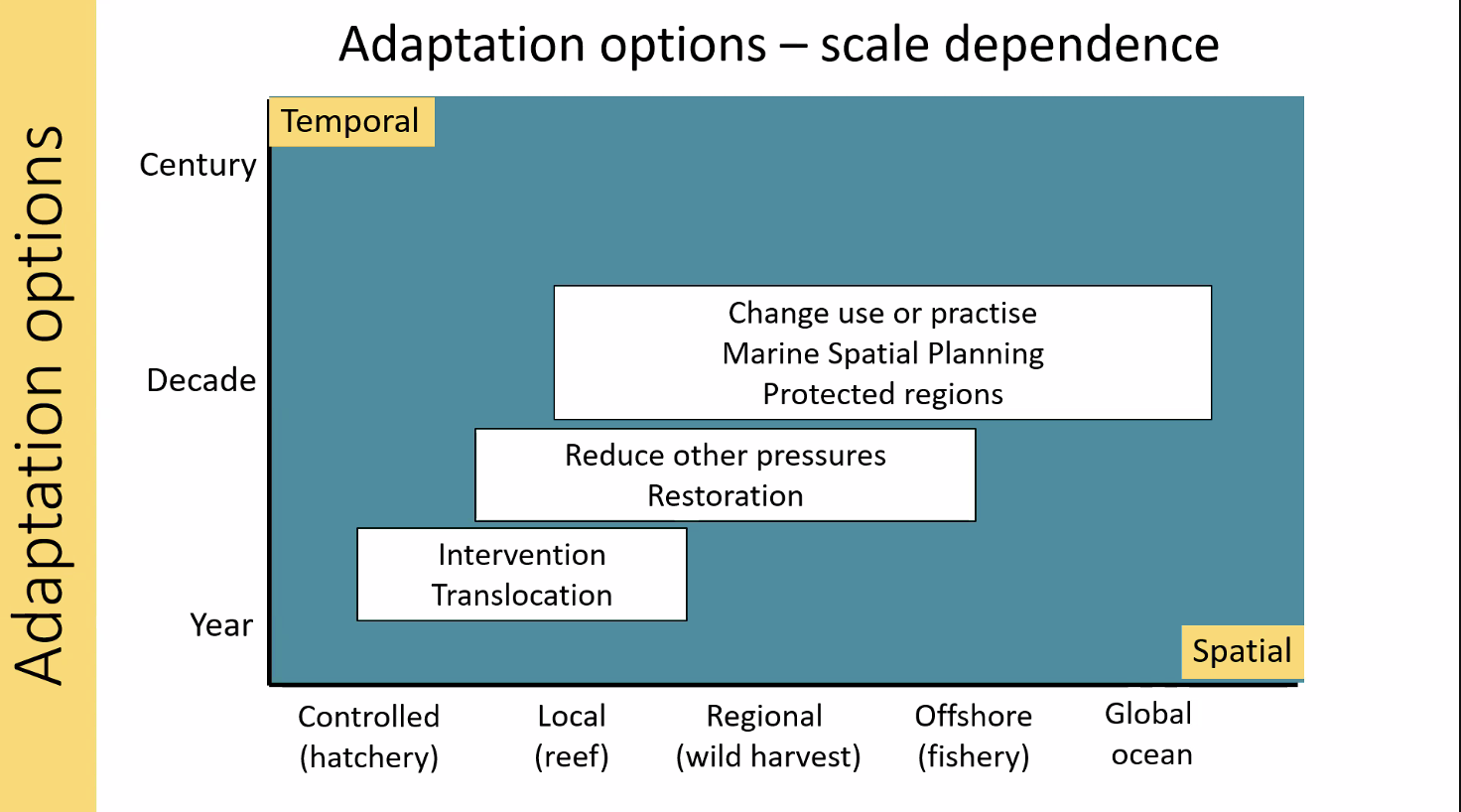 Adaptation options.png