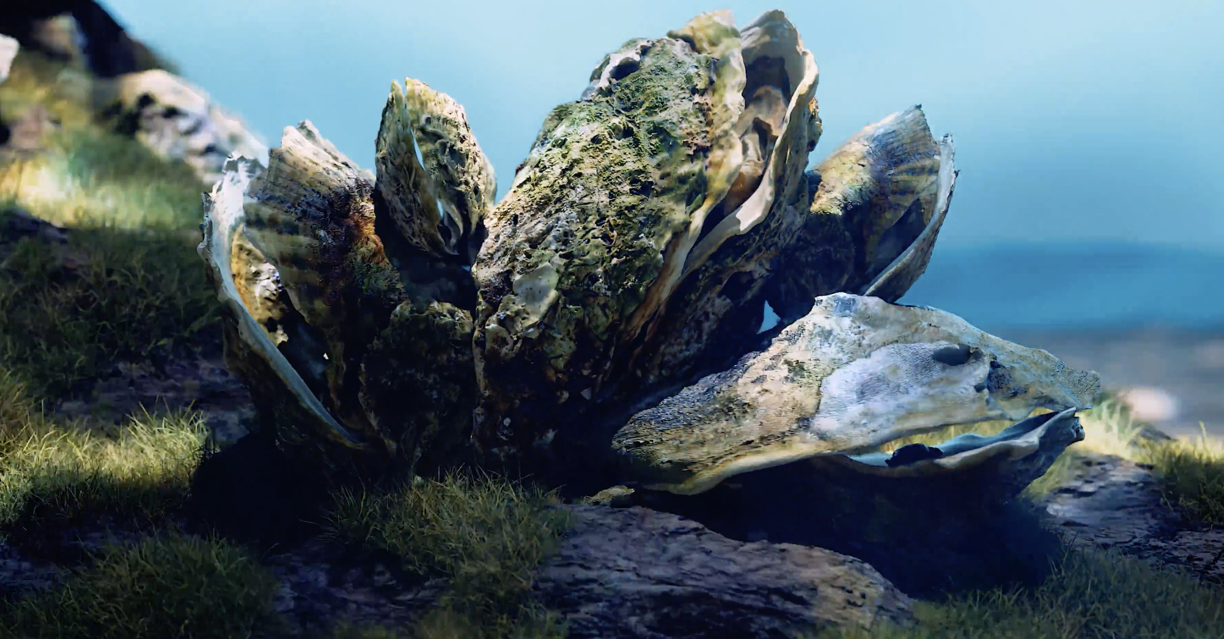 oysters.png