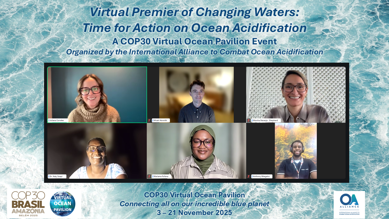 19 November COP30 VOP Group Photo OA Alliance Background.PNG