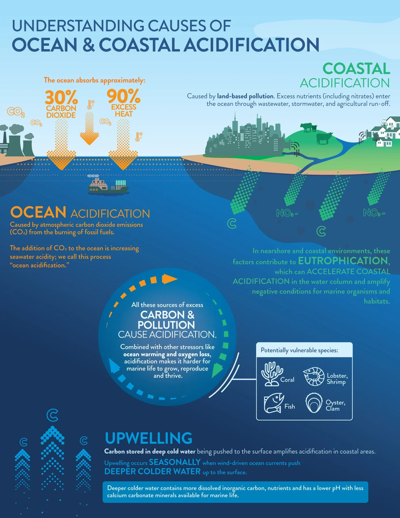 HOW DO OCEAN AND COASTAL ACIDIFICATION DIFFER? Understanding the differences between ocean acidification and coastal acidification helps explain how global climate change and local stressors interact to alter seawater chemistry. The more clearly we d