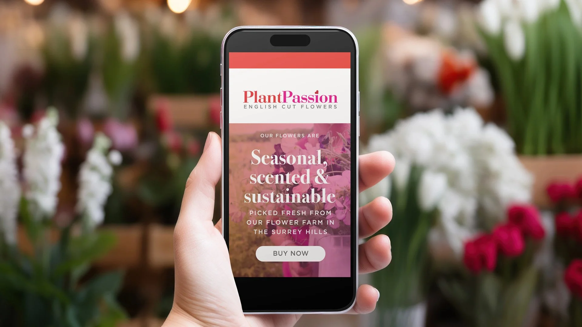 PlantPassion_1920px6.jpg