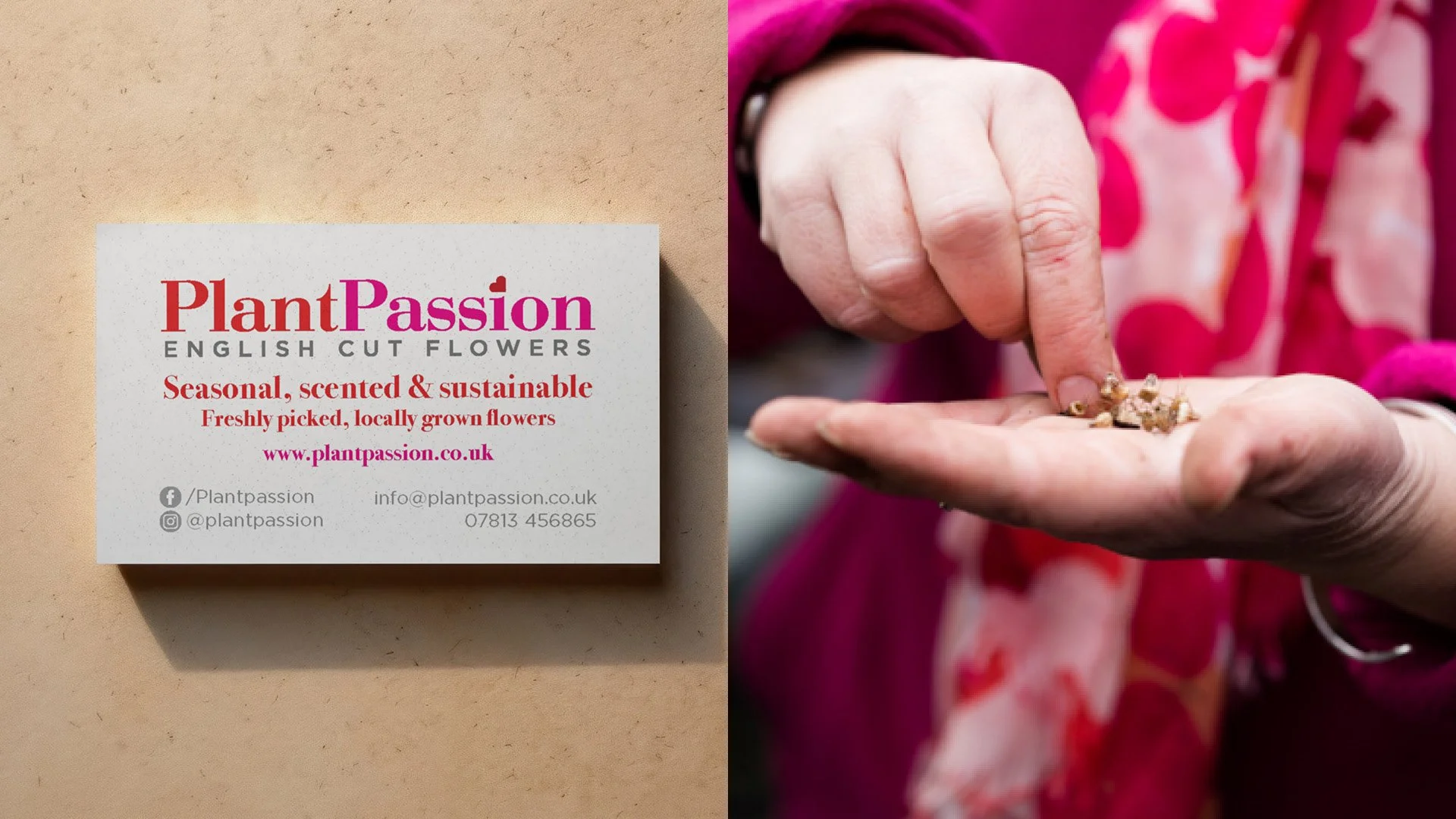 PlantPassion_1920px7.jpg