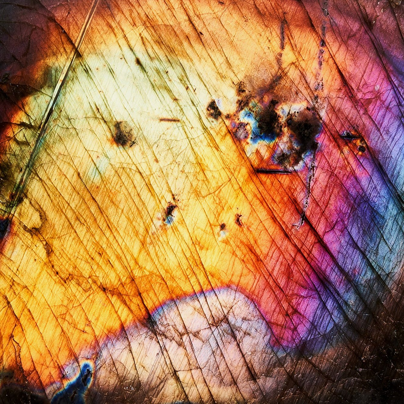 Image Description: A close-up shot of the Labradorite Freeform piece with a bright flash of yellow, orange, purple, magenta, blue and teal color hues.