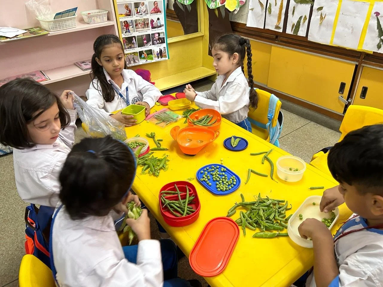 WhatsApp Image 2025-12-17 at 10.48.01 AM (1).jpeg