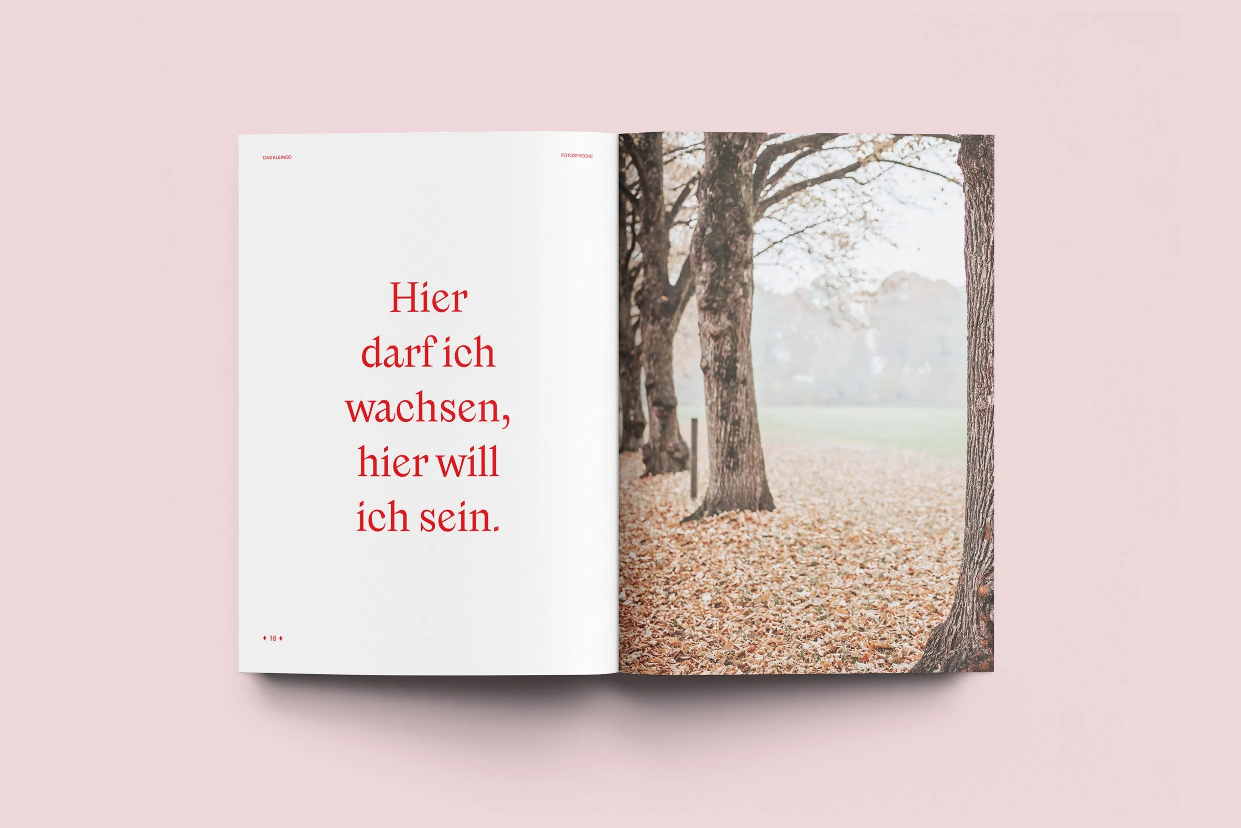 Book-innen_1.jpg
