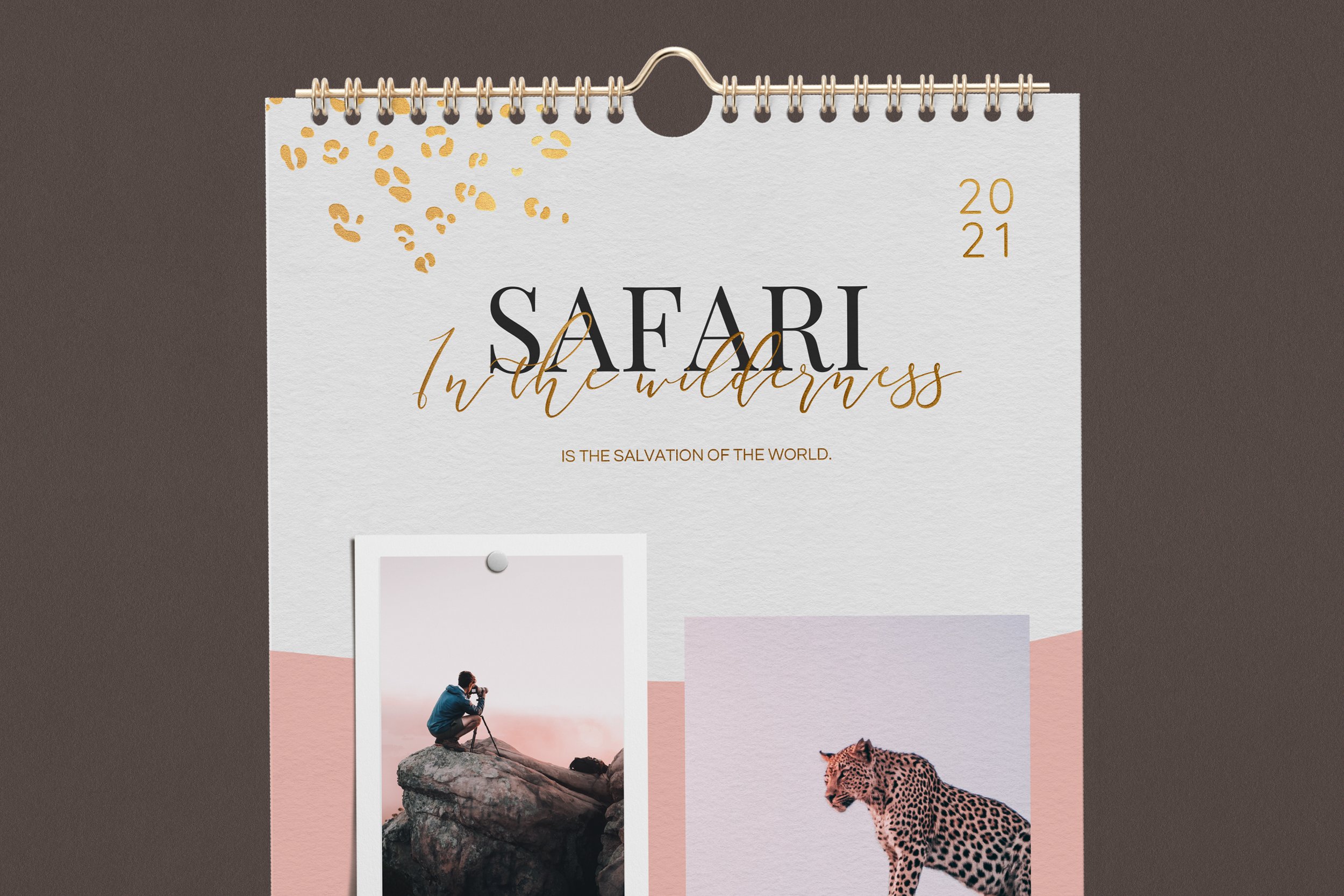 safari_3.jpg