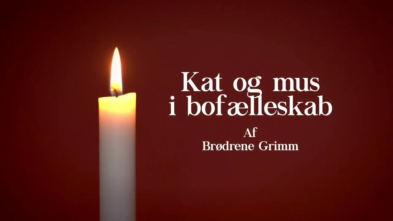 Kat og mus i bofælleskab