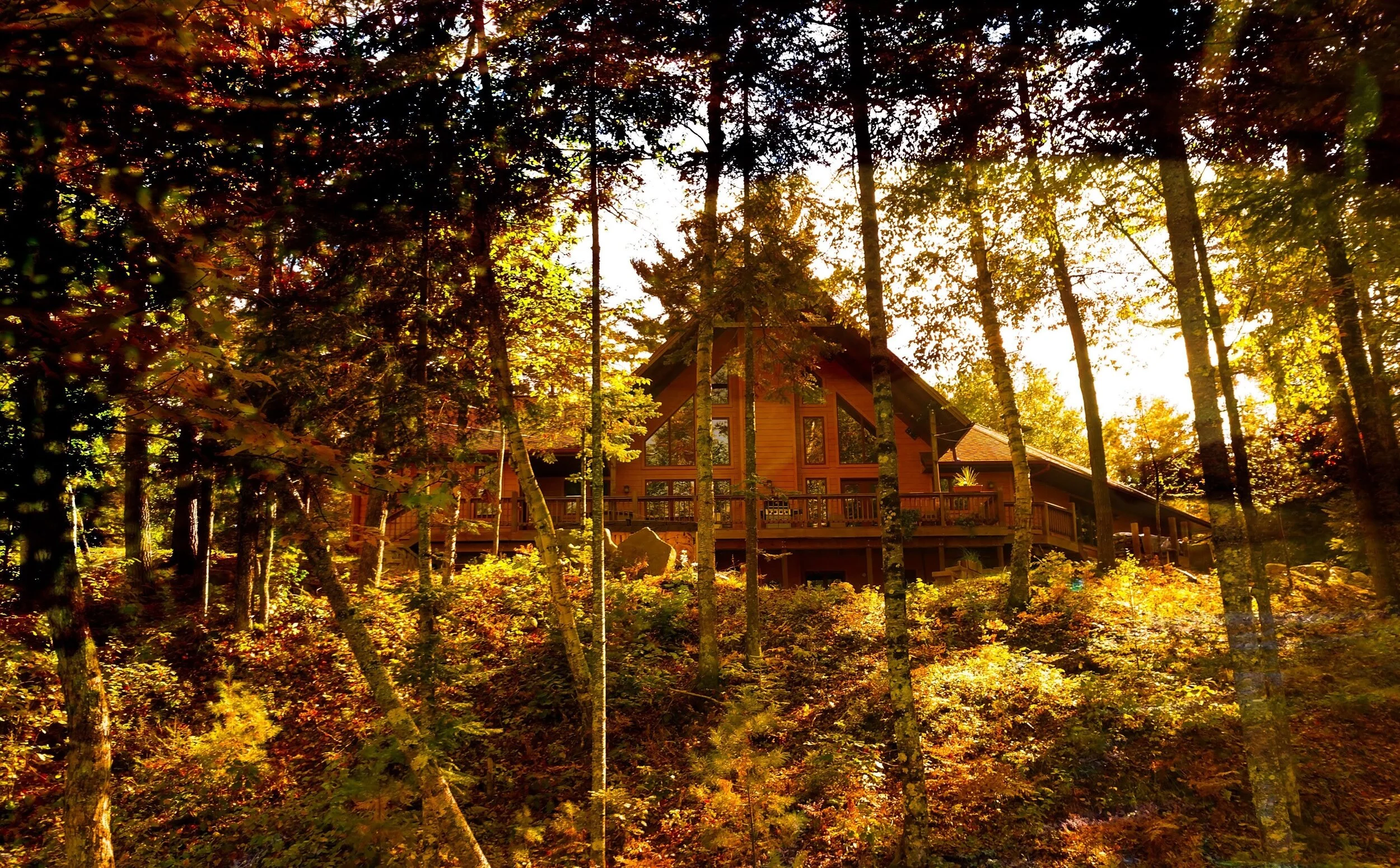 House.jpg