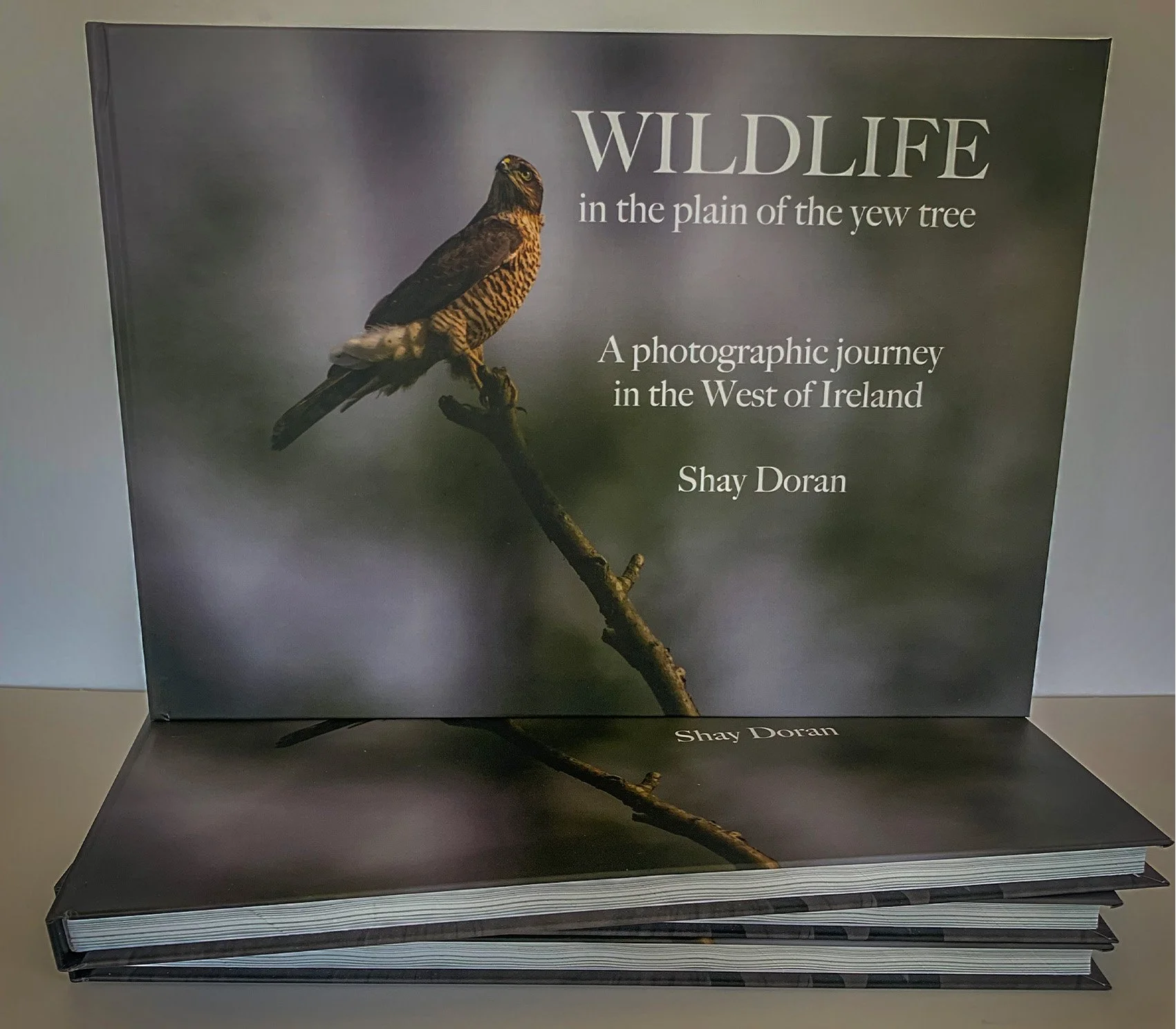 Book Cover.jpg