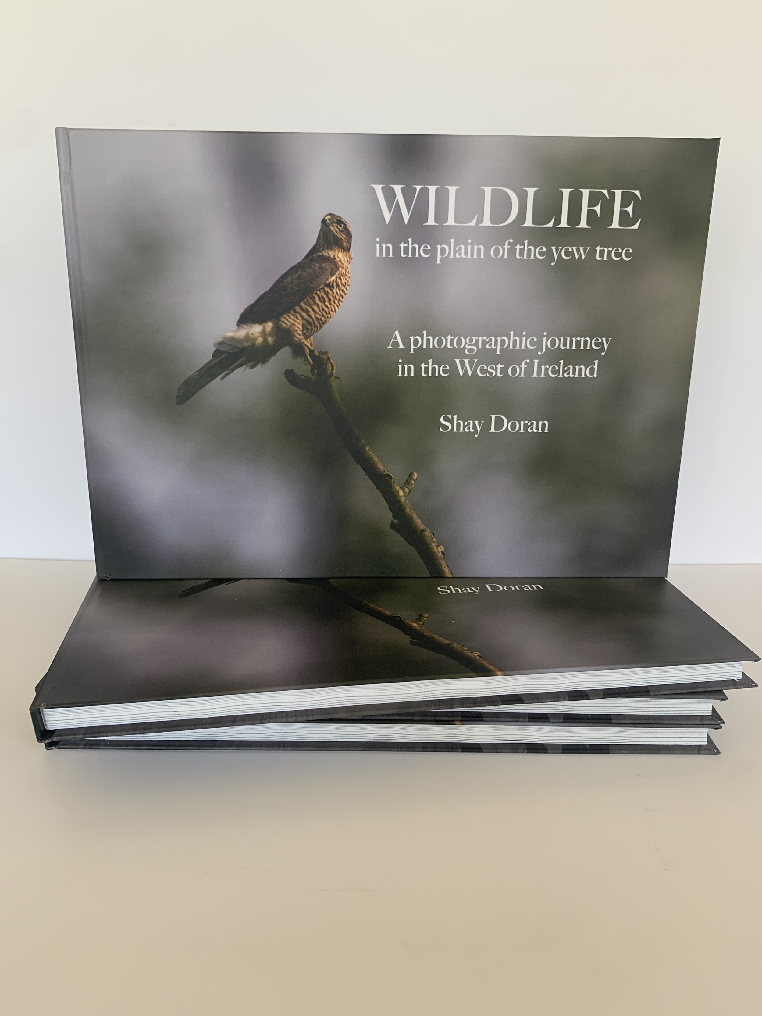 A photographic journey spanning five years showcasing the wildlife around Lough Mask and Lough Corrib in the West of Ireland. Mayo features strongly, hence the title in the plain of the yew tree.