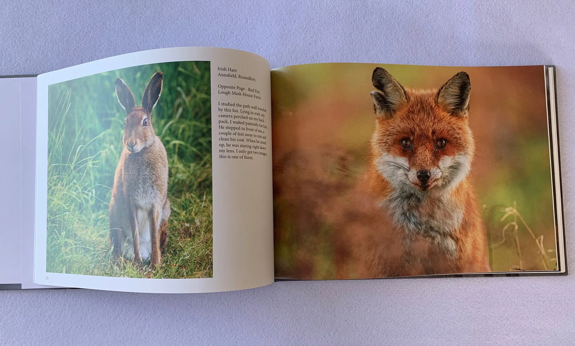 Book Images.jpg