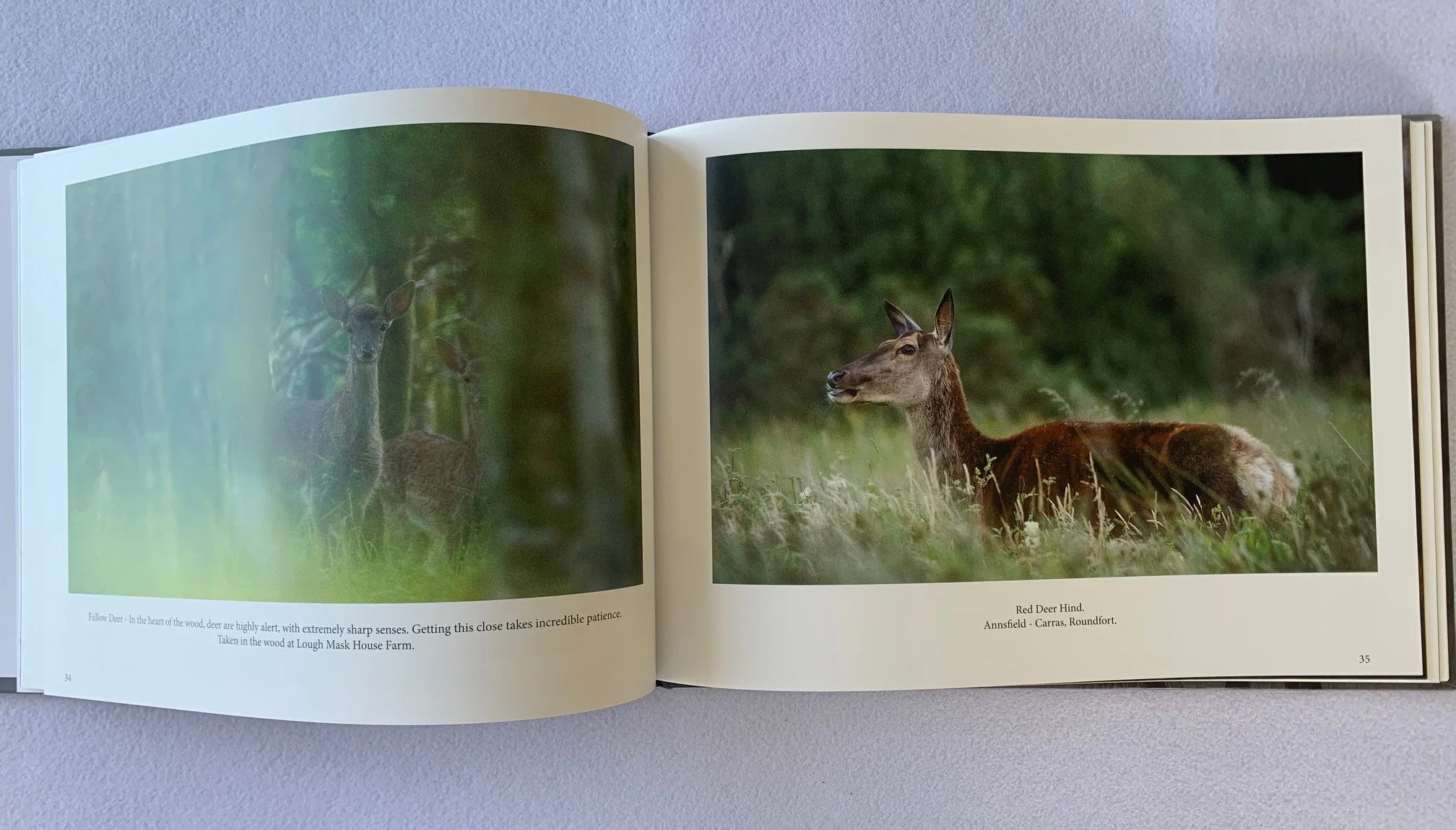 Book Images 1.jpg