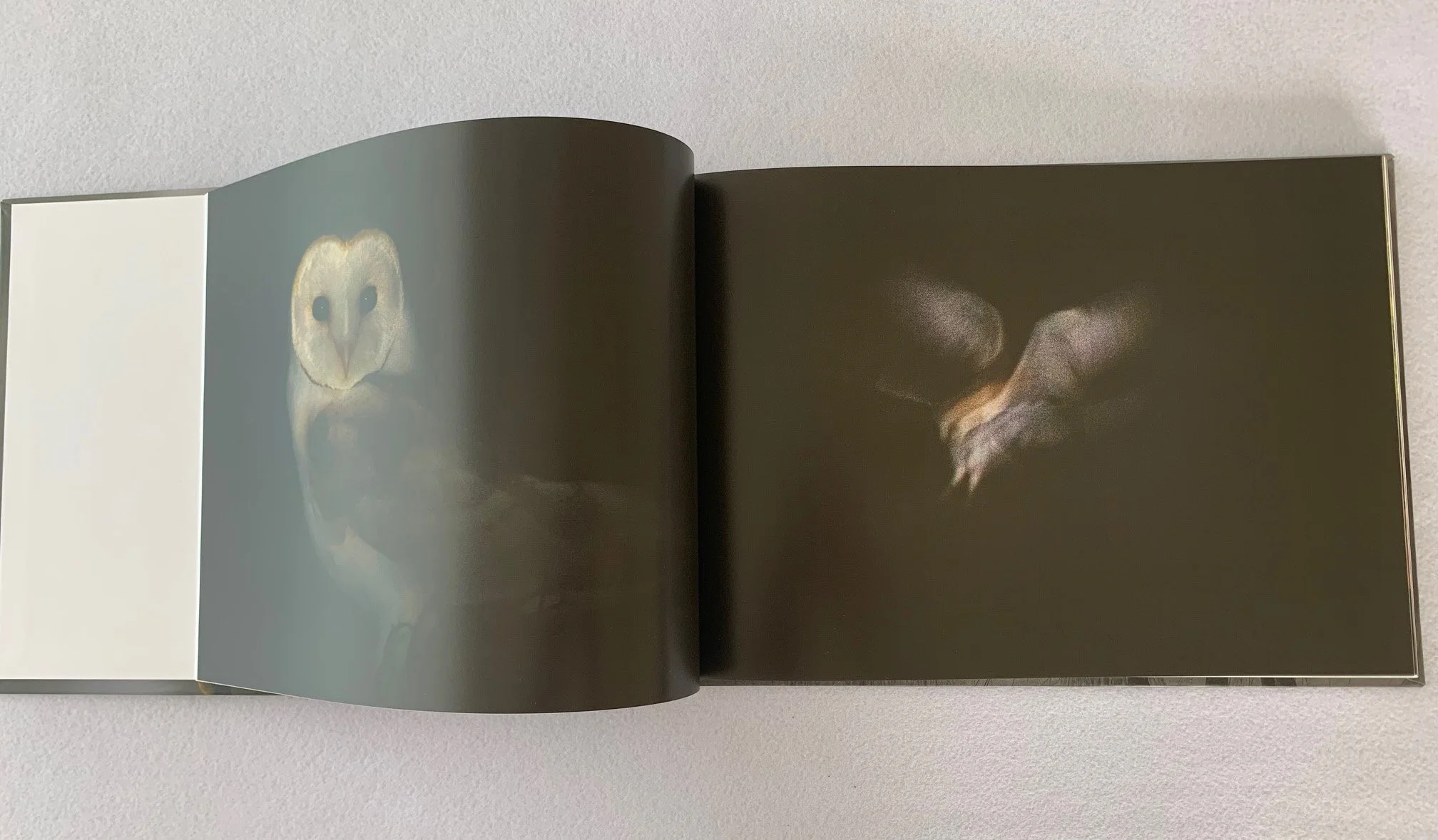 Book Image 2.jpg