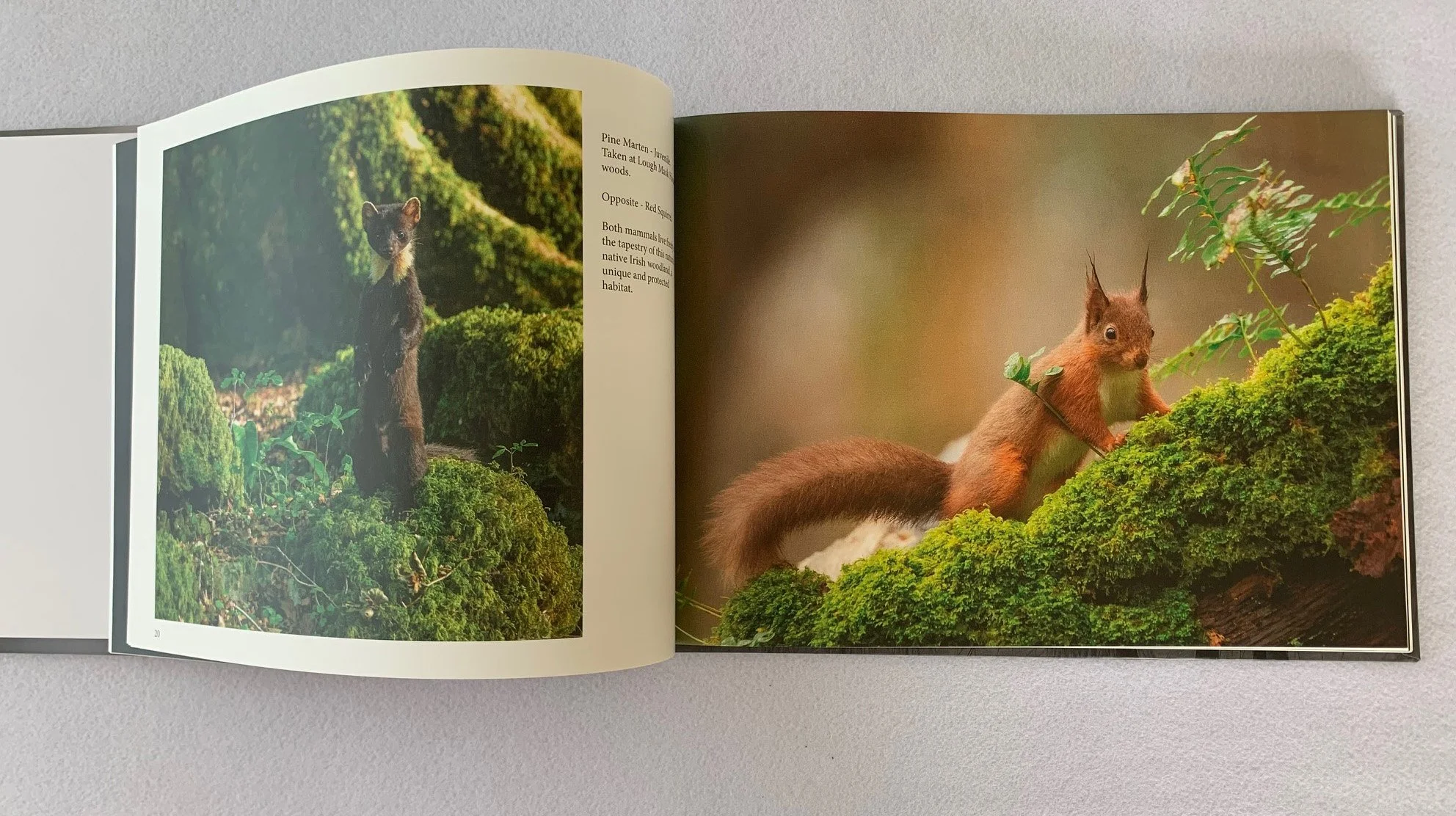 Book Image 3.jpg