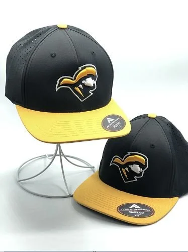 Baseball team hats with embroidered logo