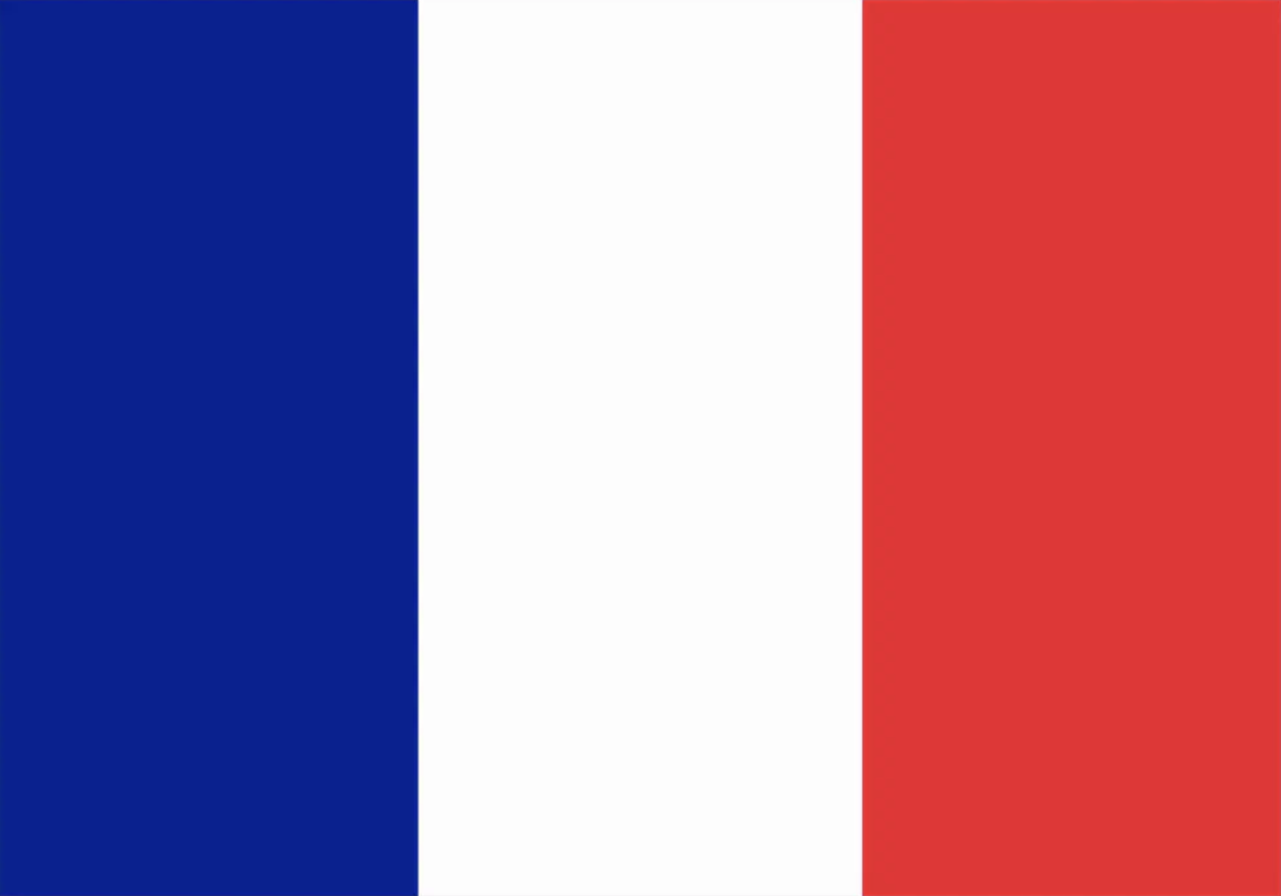France v Senegal