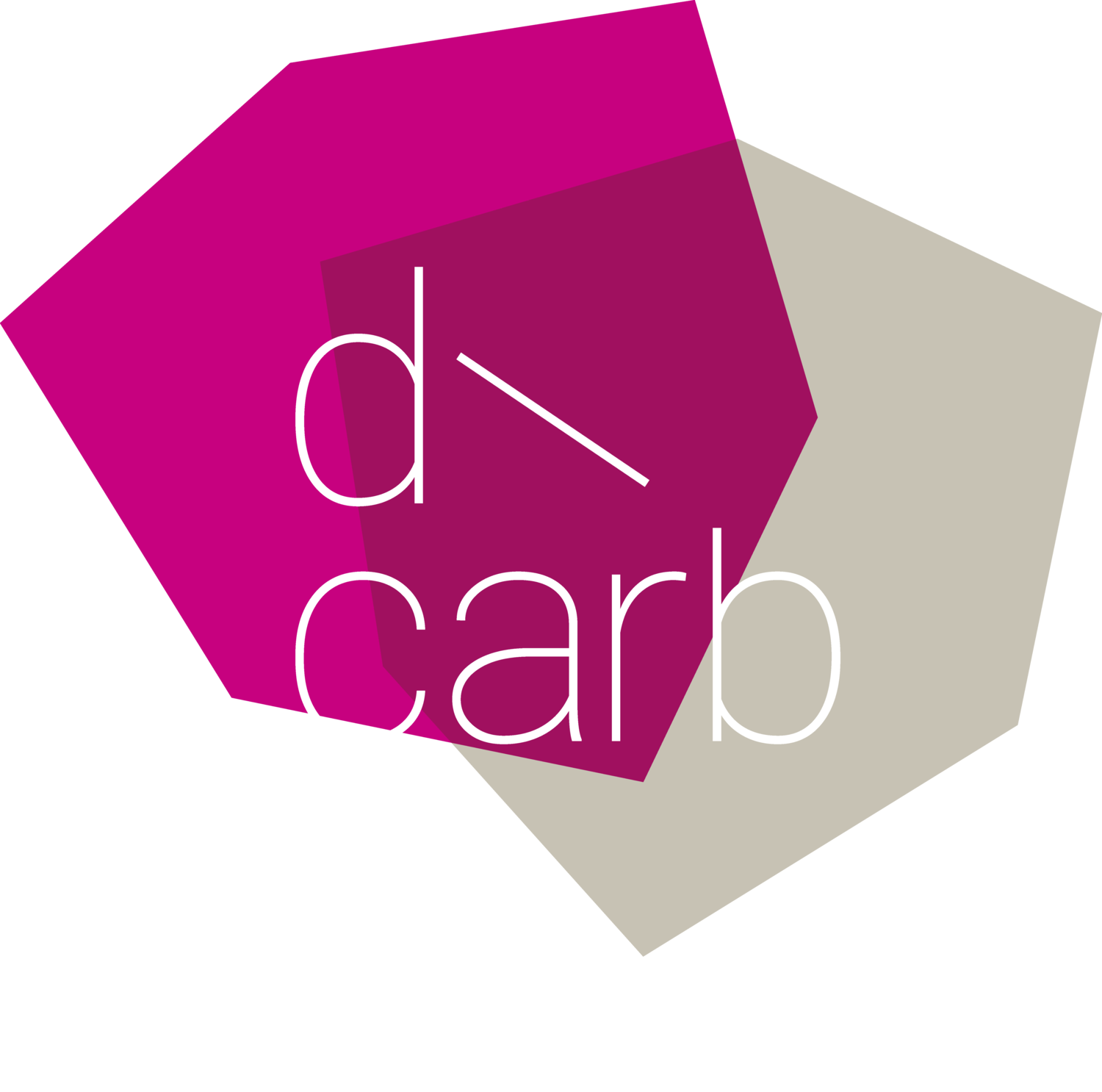 d\carb future economy forum