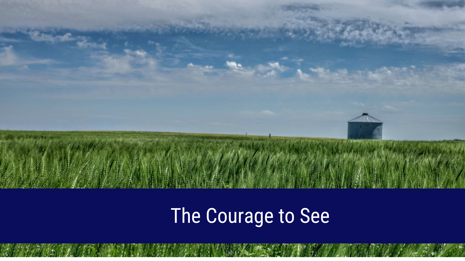 courage to see