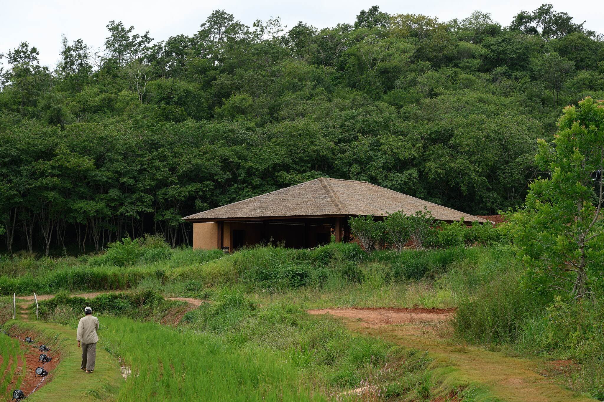 Khao_Yai_Art_Forest-L_029.JPG