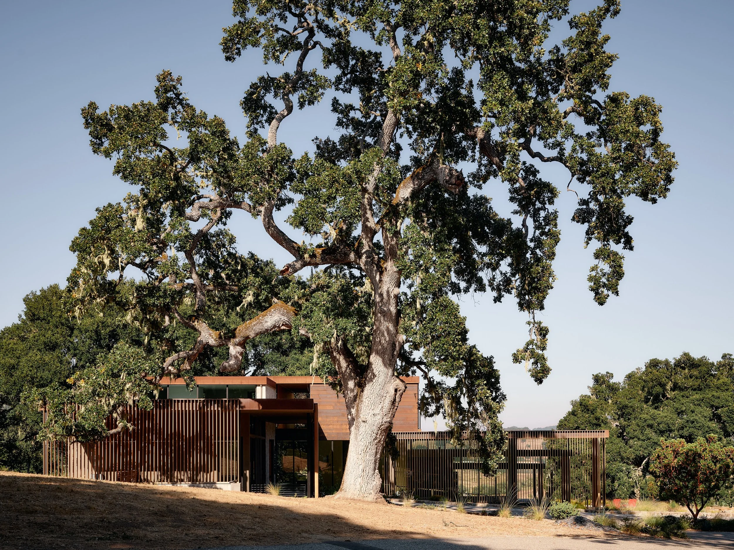 Meadow House
